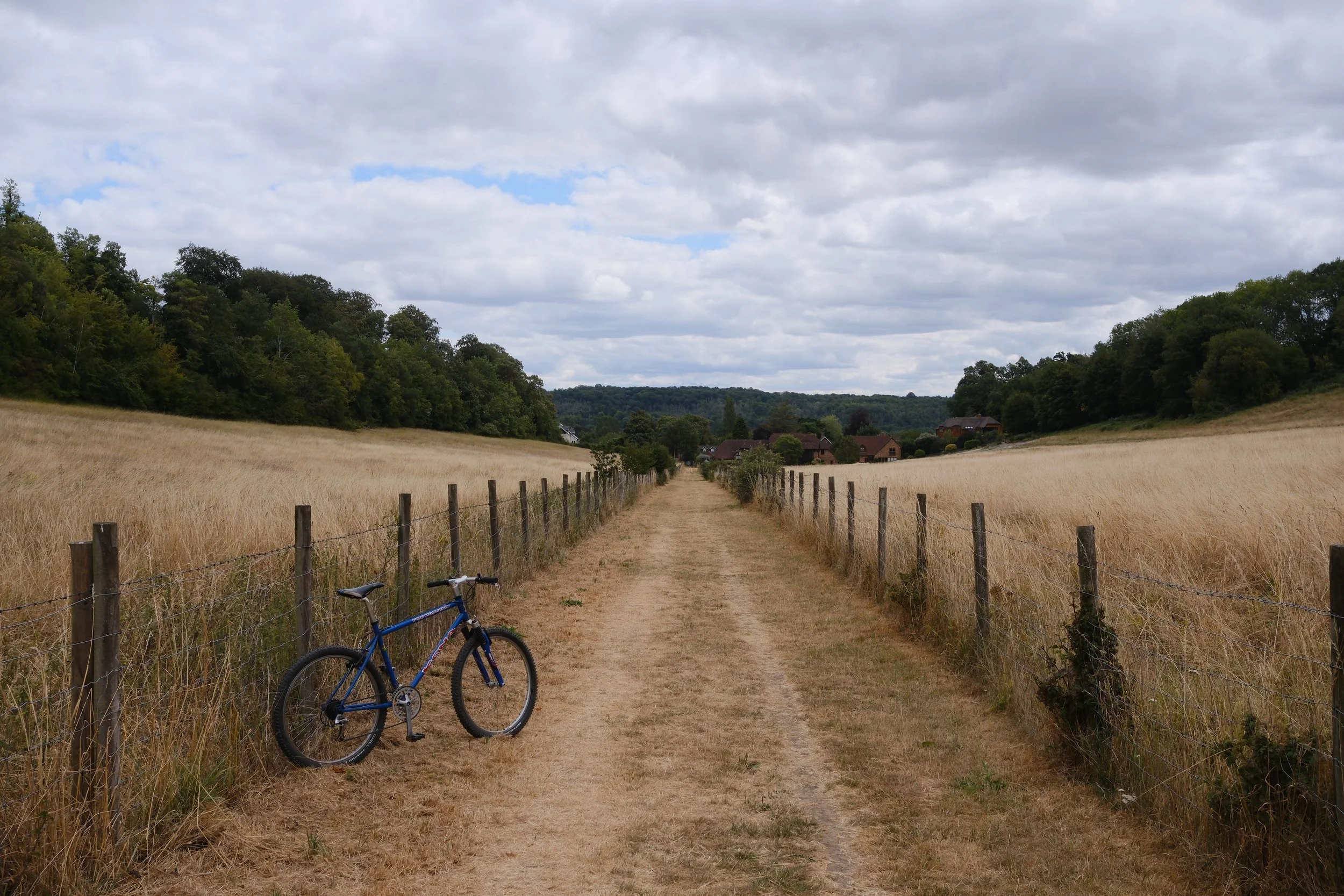 DSCF2980.jpg