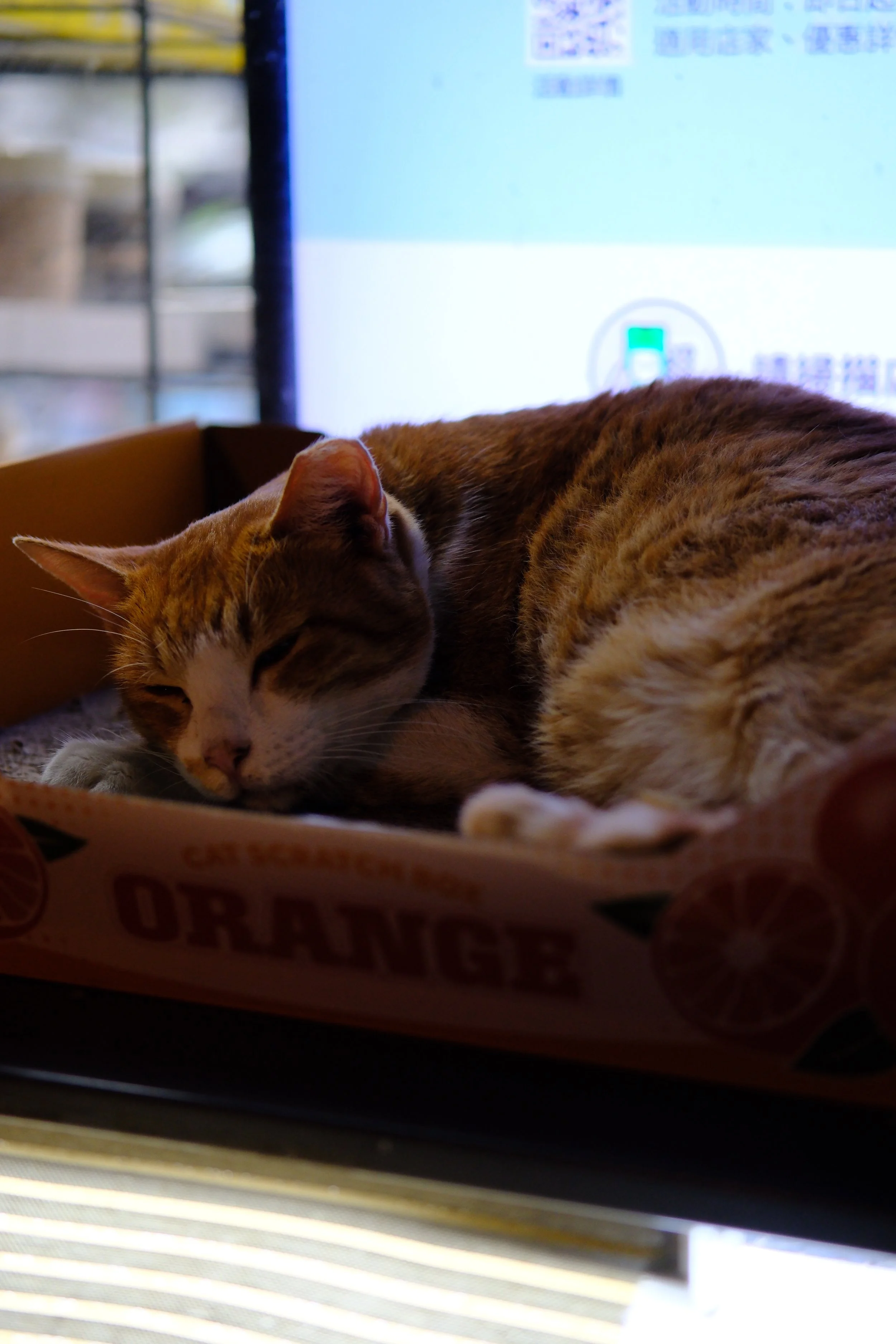 DSCF3964.JPG