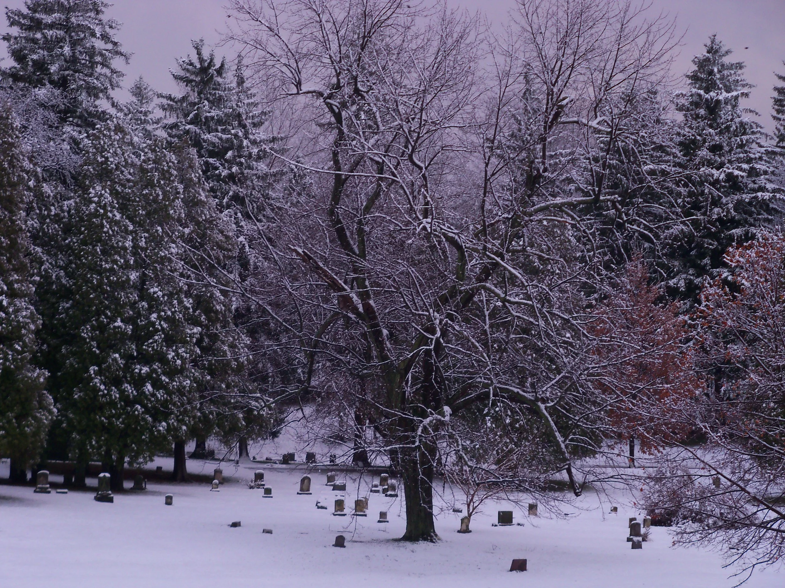 "Rochester XI" (2010). Medium: Digital Photography. Dimensions: Variable.