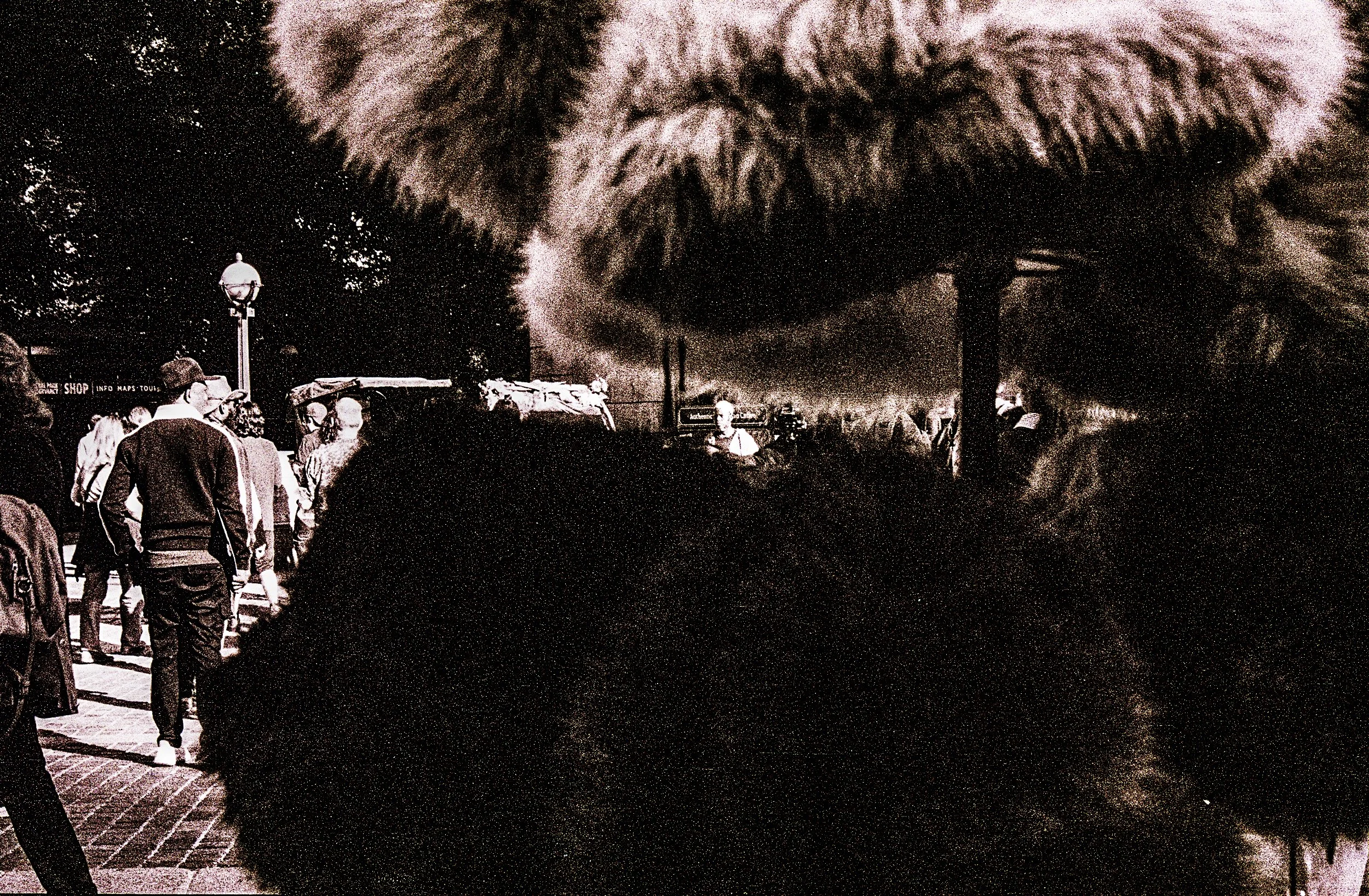 image_scan_batch02-091 Furry New York.jpg