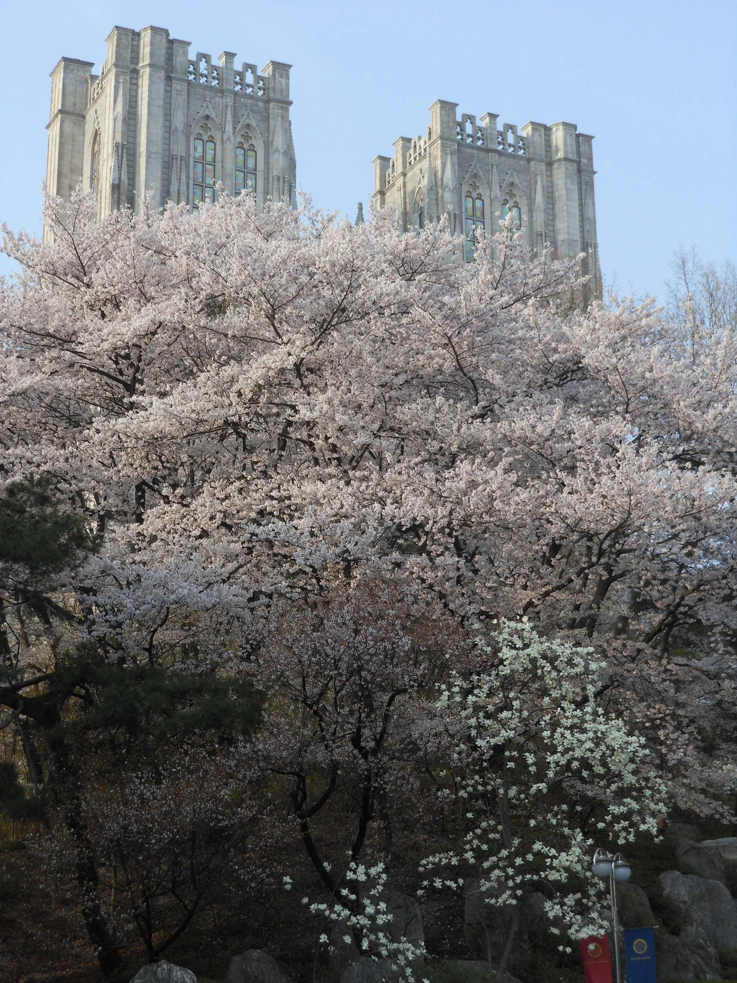 "Kyunghee University VI" (2013). Medium: Digital Photography. Dimensions: Variable.