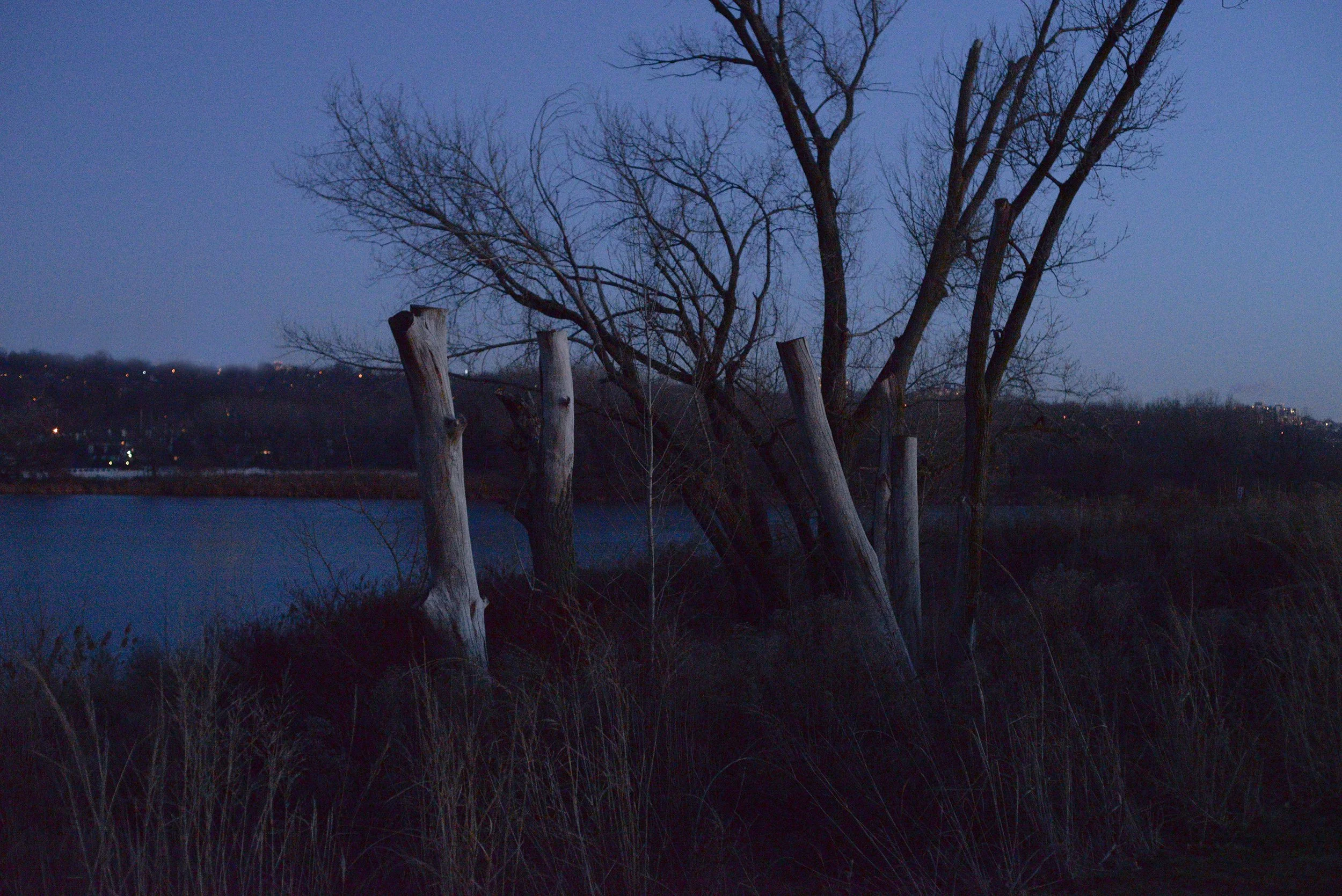 "Overpeck V" (2016). Medium: Digital Photography. Dimensions: Variable.