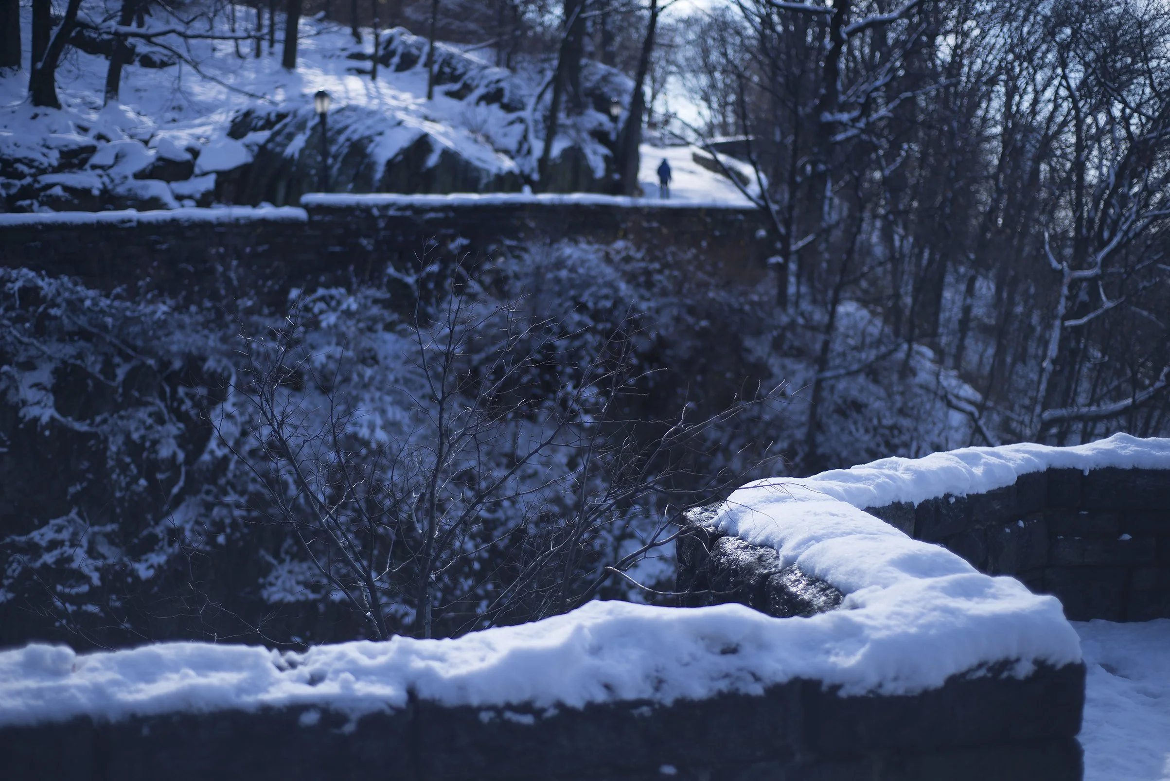 "Fort Tyron Park I" (2017). Medium: Digital Photography. Dimensions: Variable.