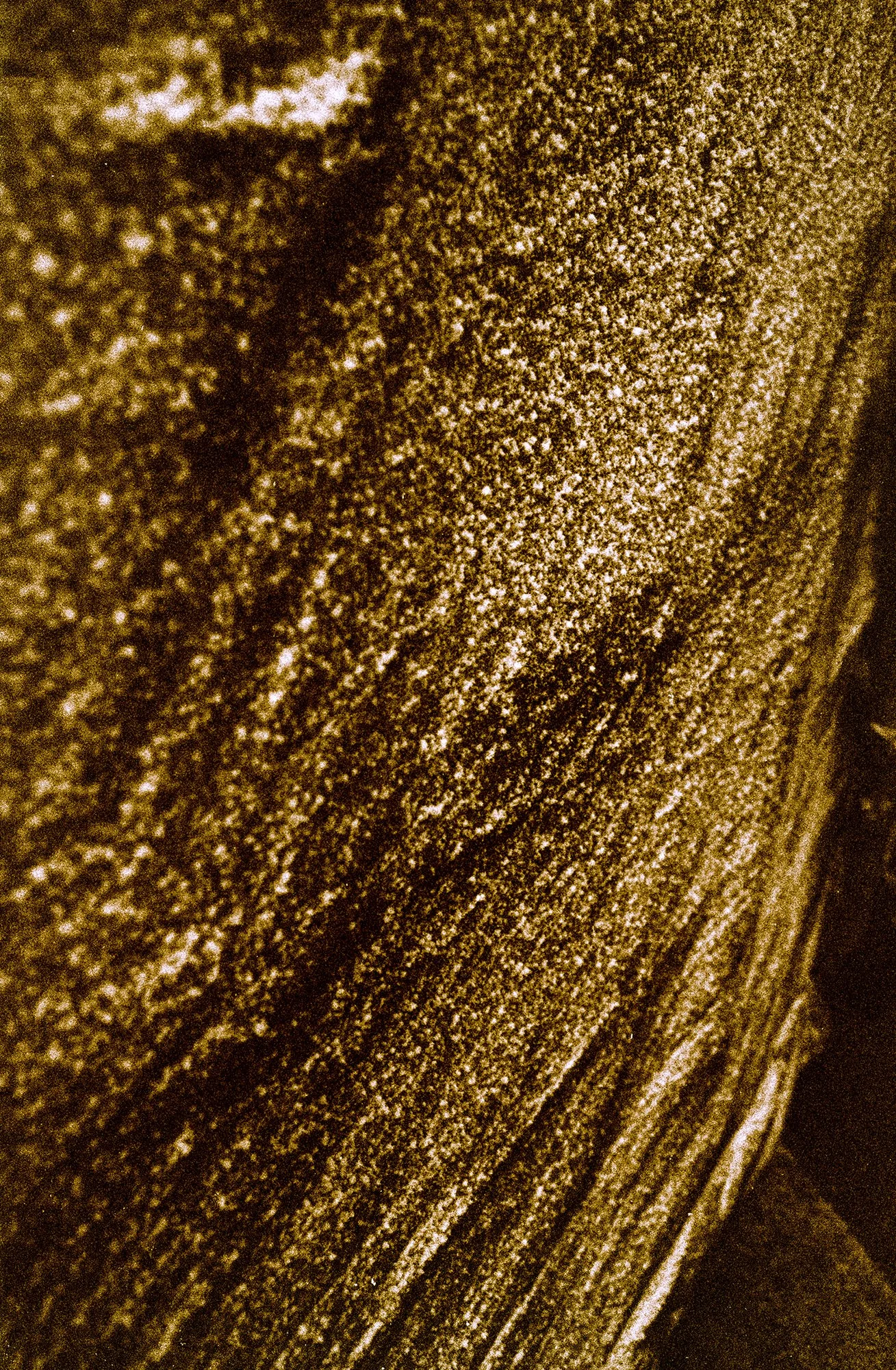 image_batch_14_0033 edited - small.jpg