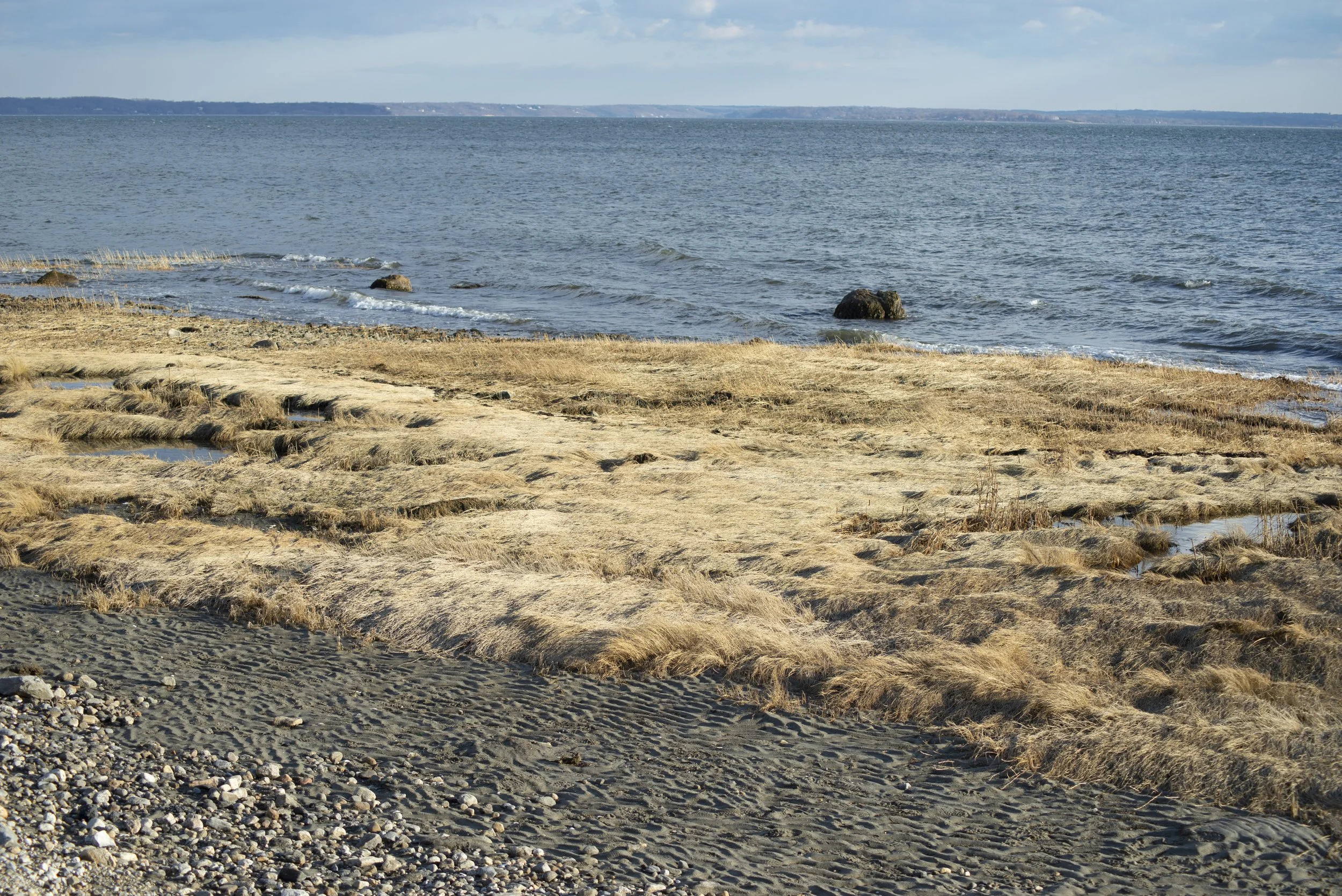 "Greenwich Point Park VIII" (2017). Medium: Digital Photography. Dimensions: Variable.