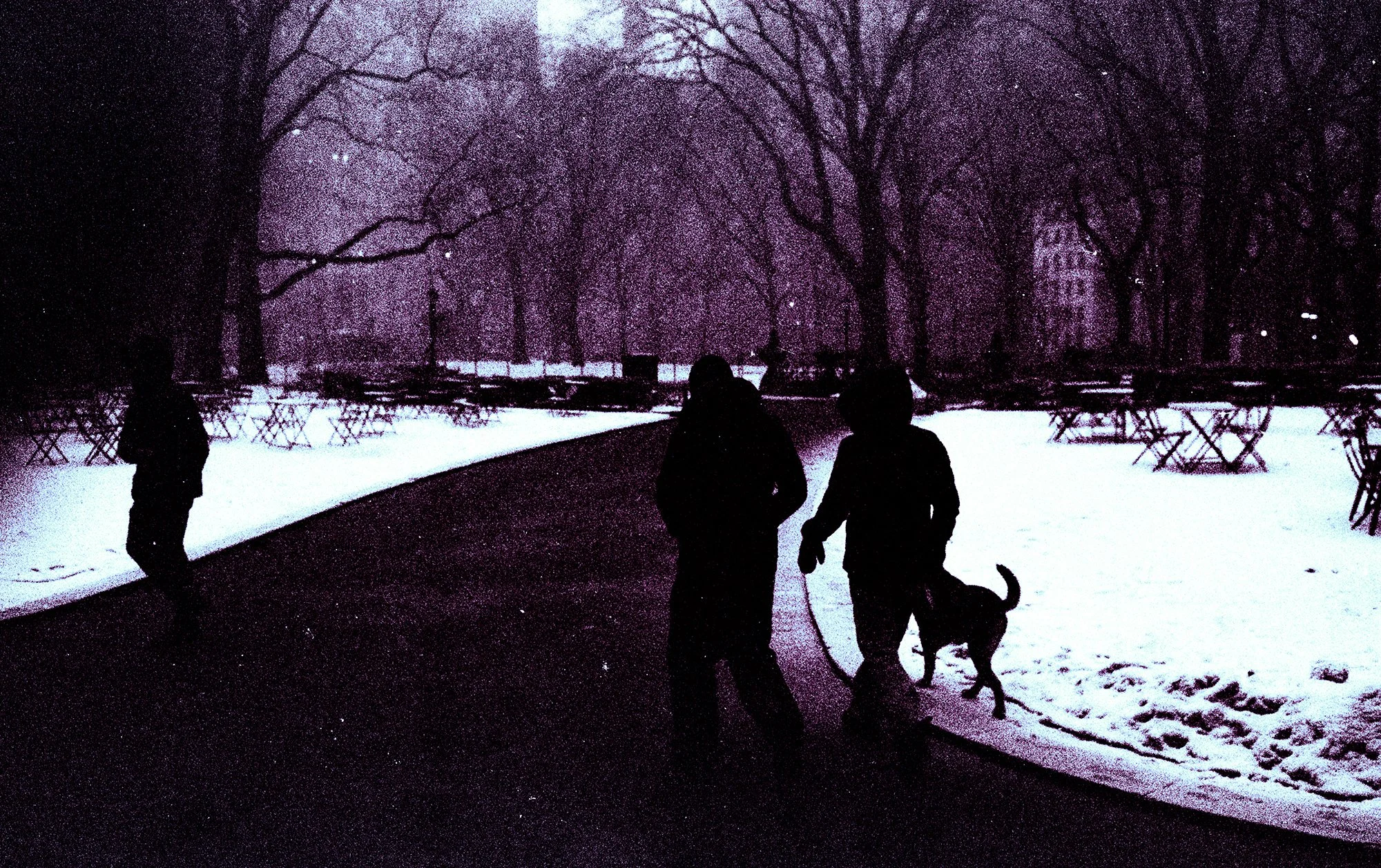 image_batch_14_0031 edited - small.jpg