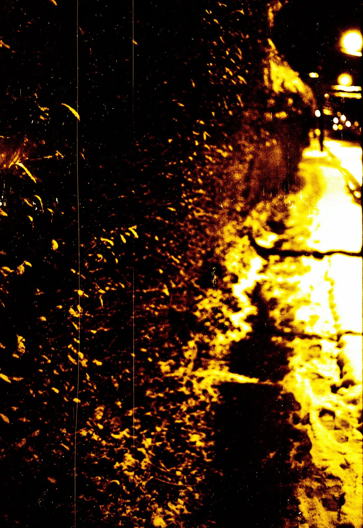 image_batch_13_0137 edited - small.jpg