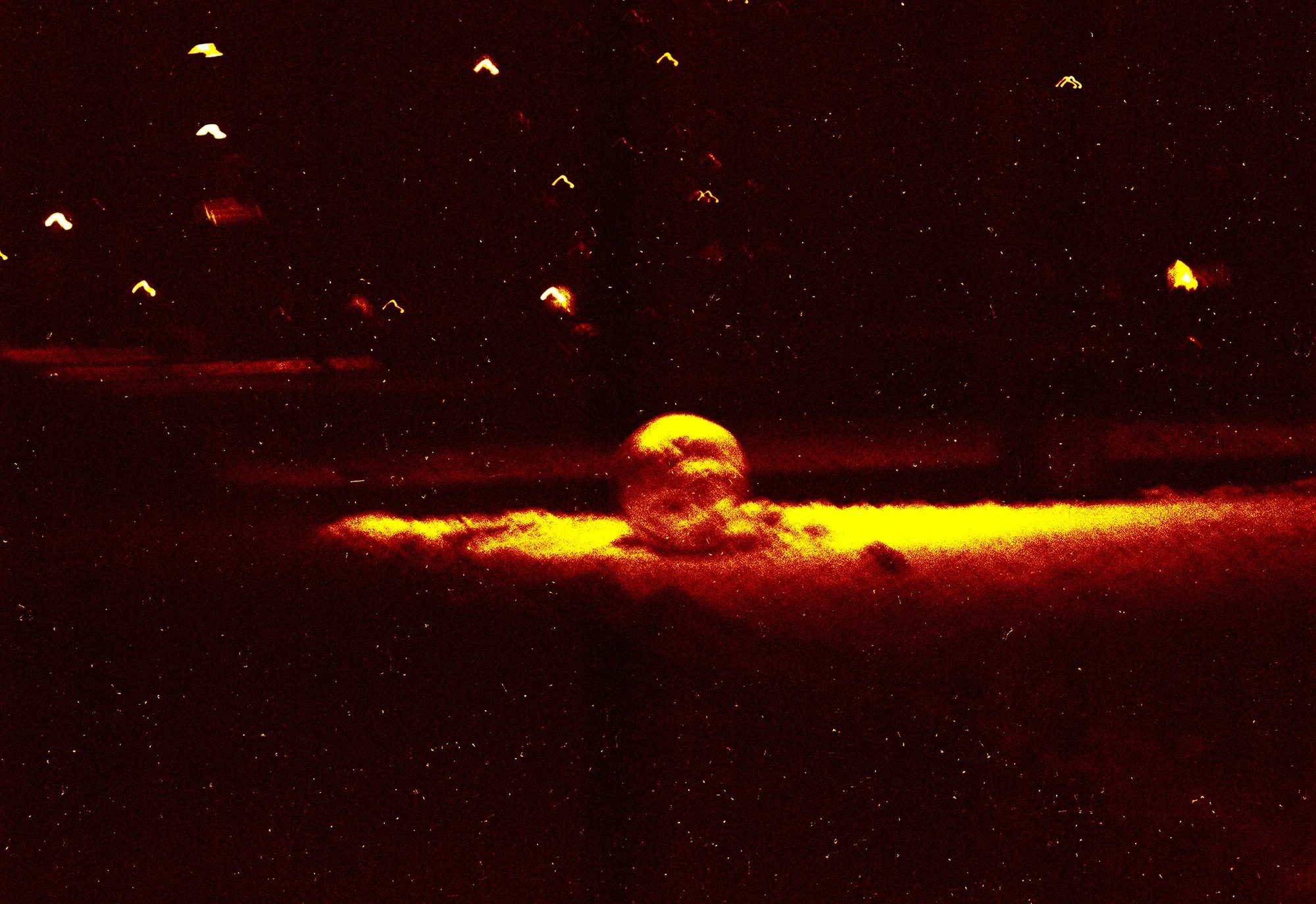 image_batch_13_0007 edited - small.jpg