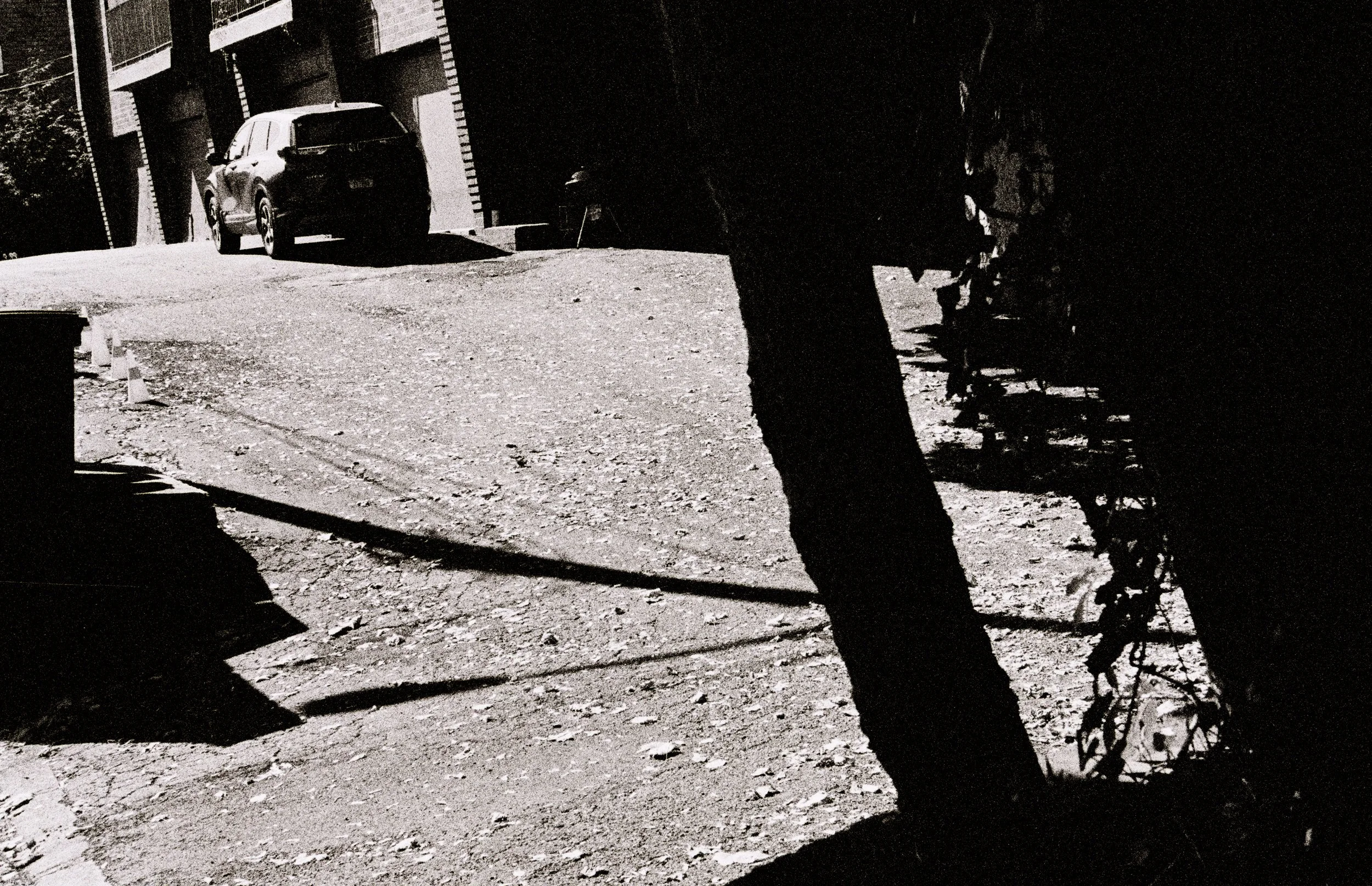 "The Driveway" (2024). Medium: Film Photography Scanned and Digitally Processed. Dimensions: Variable.