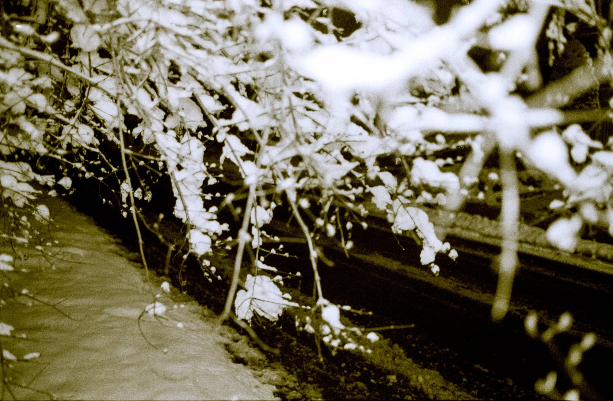 image_batch_13_0215 edited - small.jpg