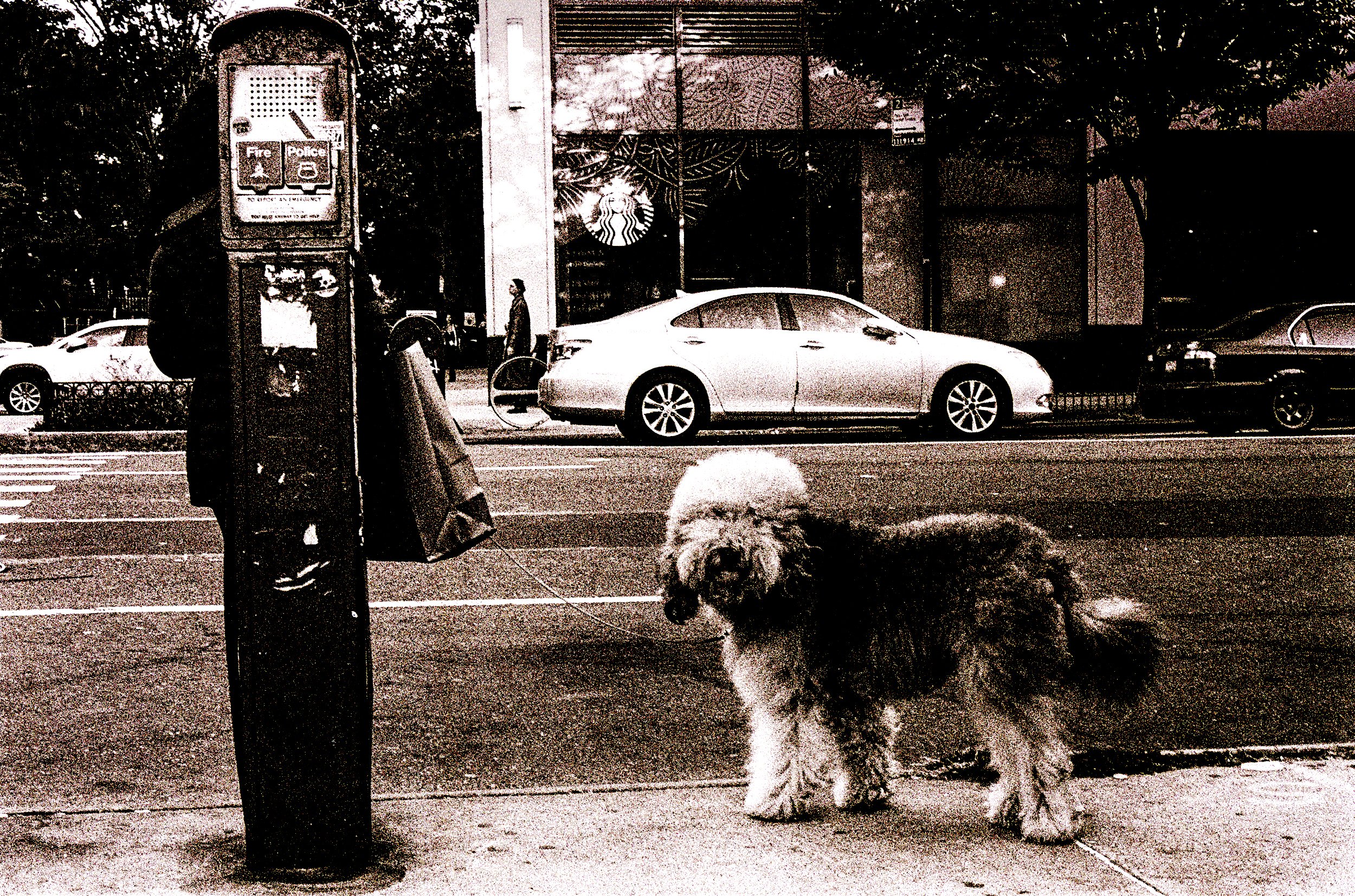 image_scan_batch02-116 Look Return.jpg