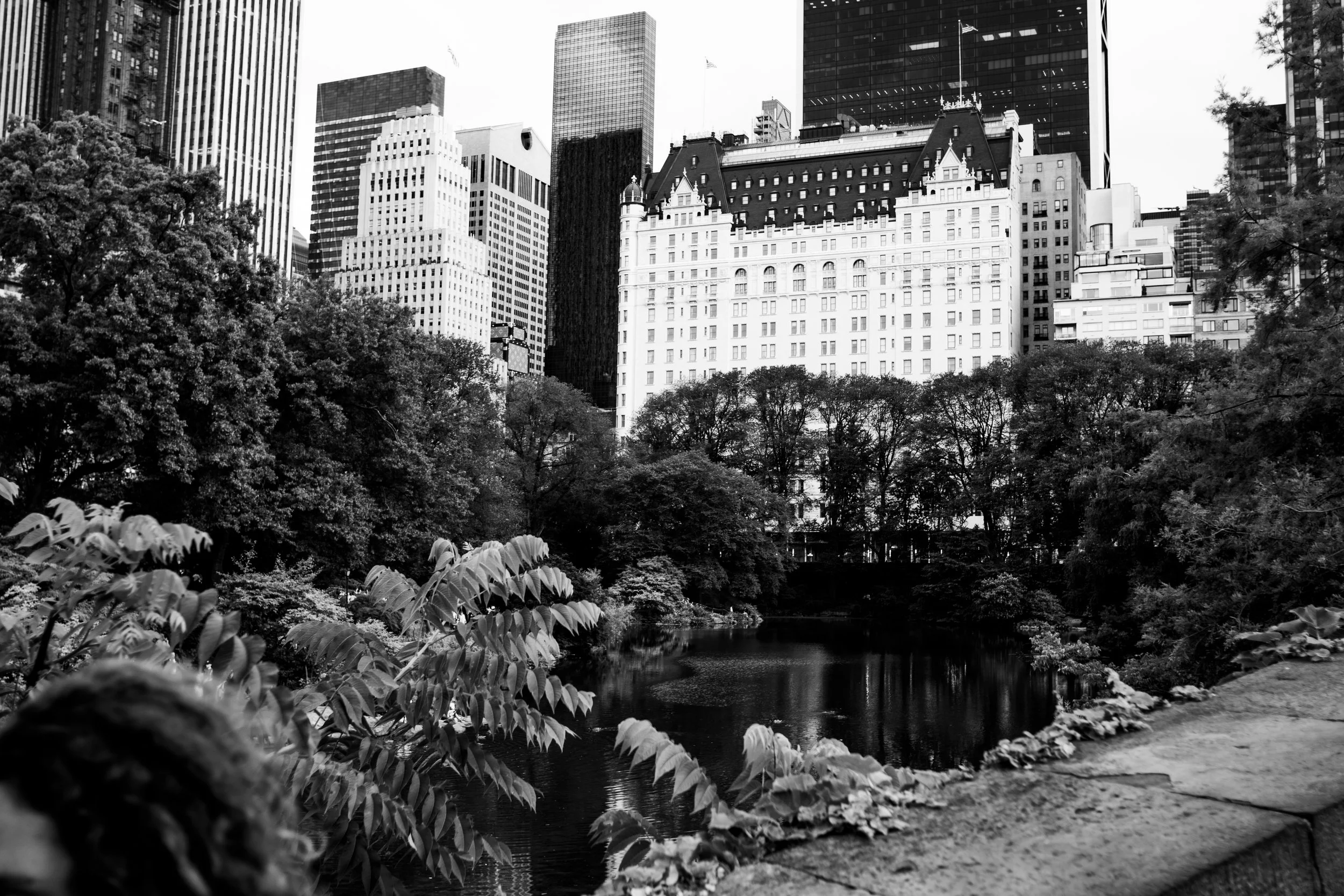 (Original title unknown) "Central Park in Monochrome" (2025). Medium: Digital Photography. Dimensions: Variable.