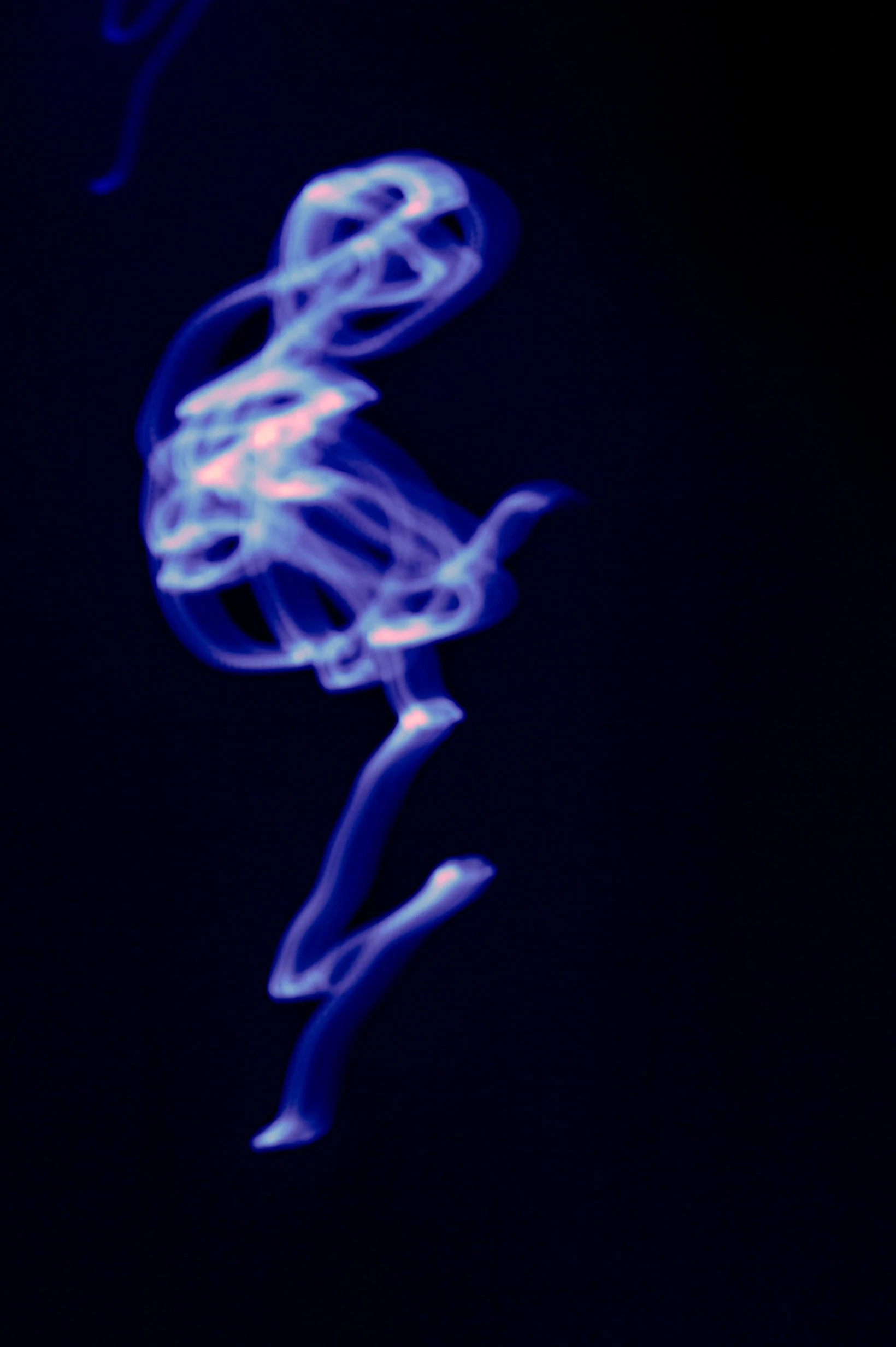A Ballerina 01 - small.jpg