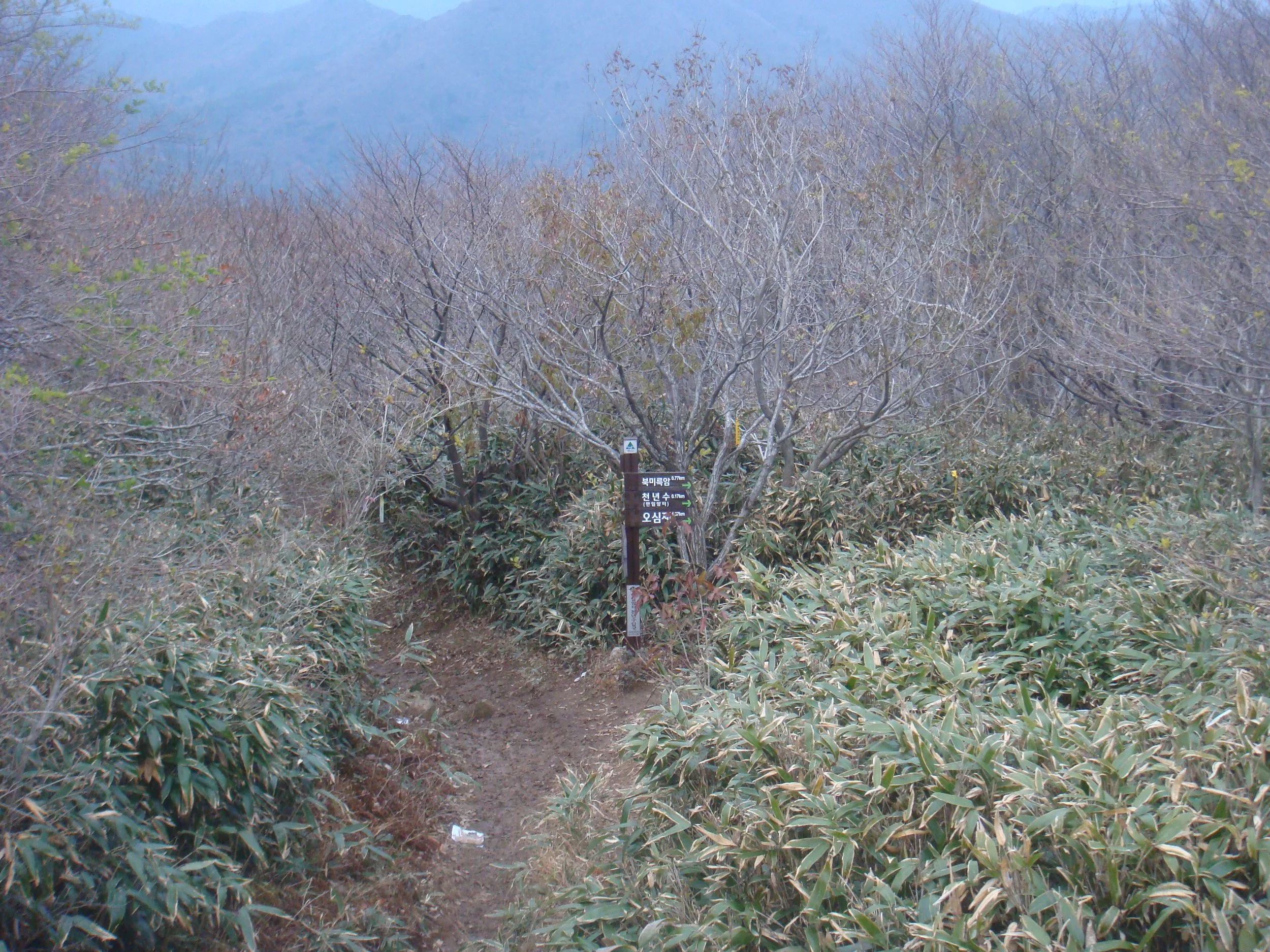 "Korea IV" (2012). Medium: Digital Photography. Dimensions: Variable.