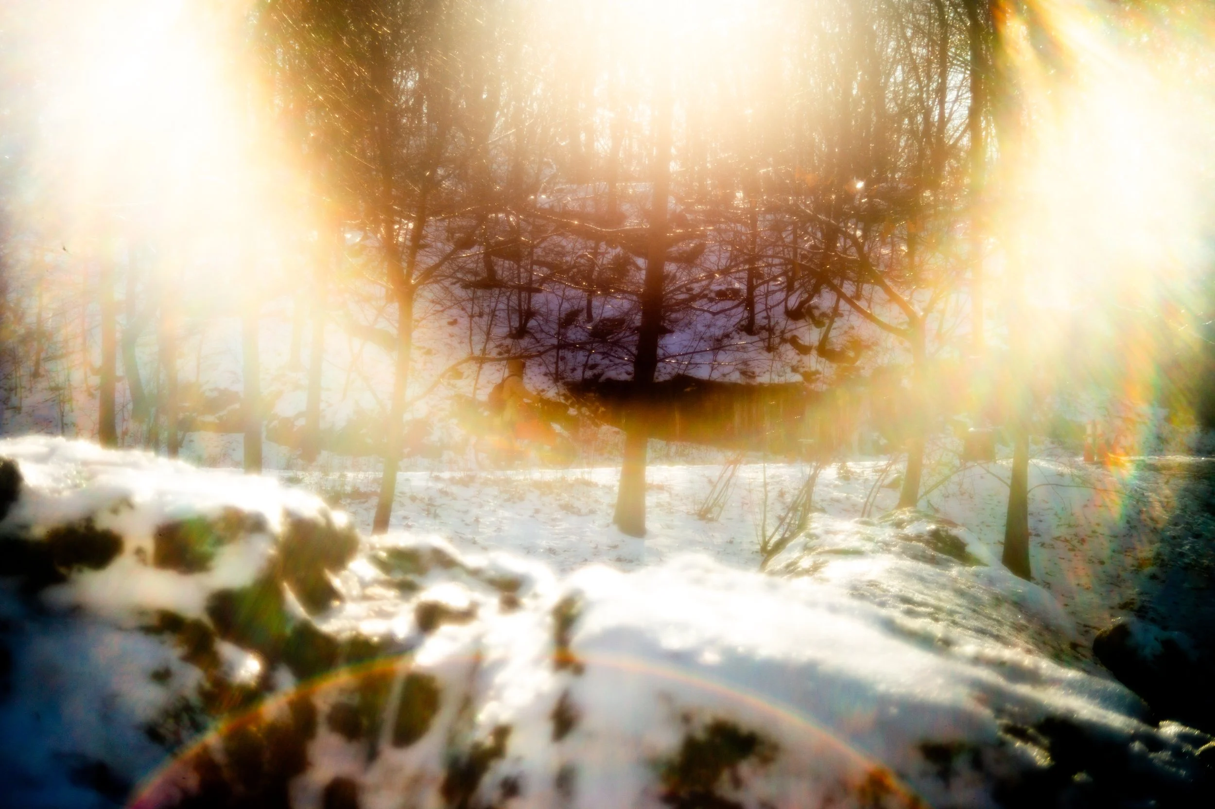 "Poetic Vision 01-65" or "Angel's Halo" (2024). Medium: Digital Photography. Dimensions: Variable.