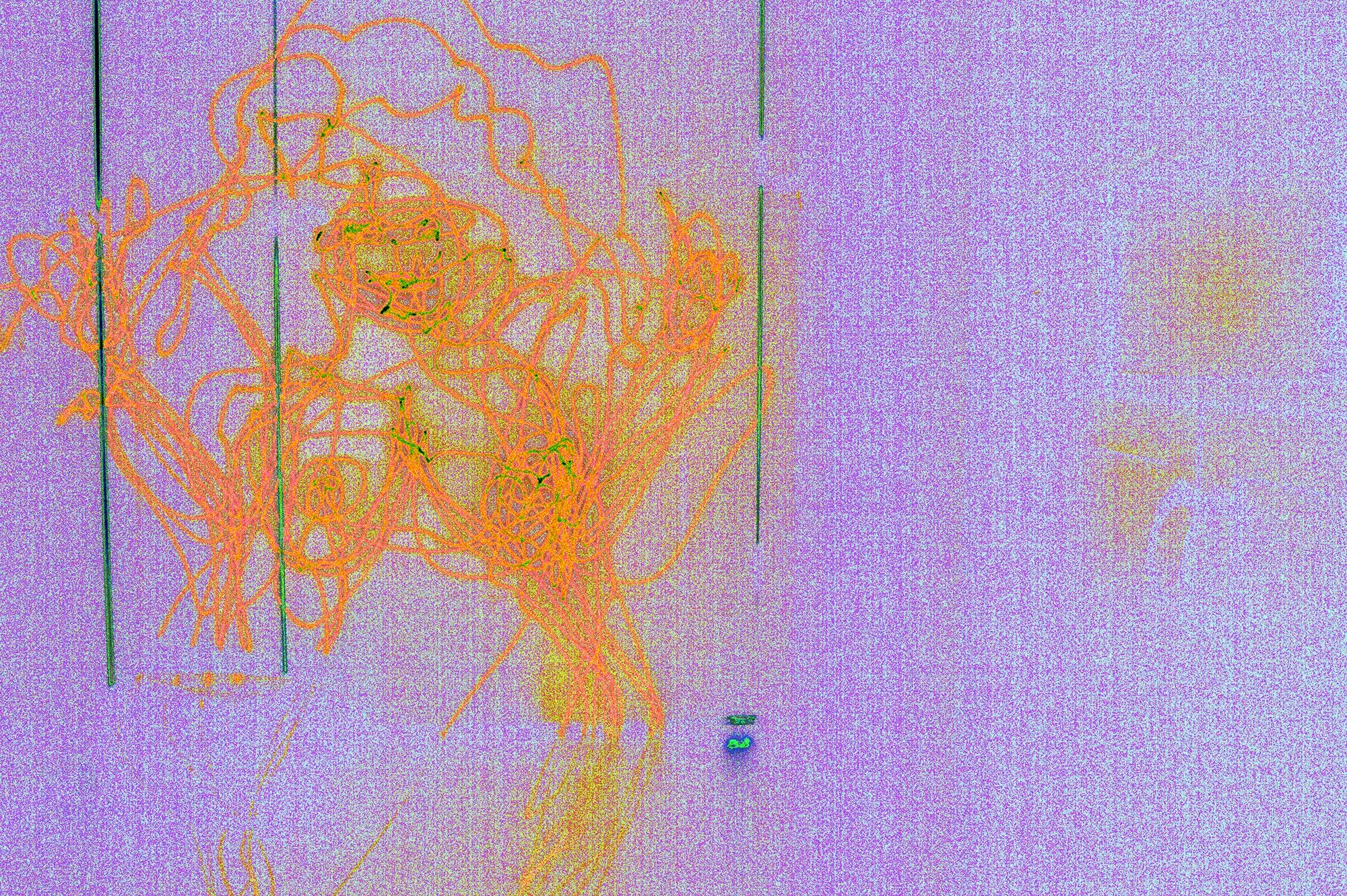Woman 16 - small.jpg