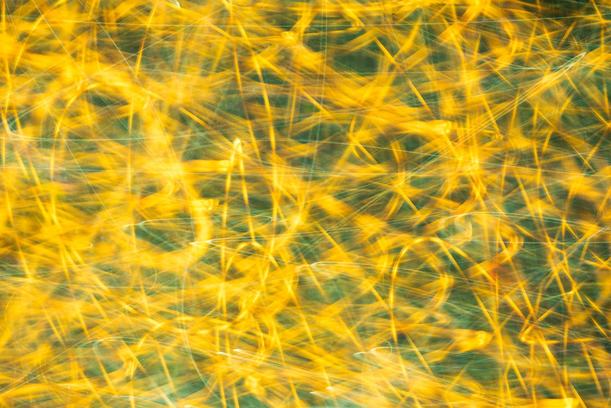 String Theory small-04.jpg