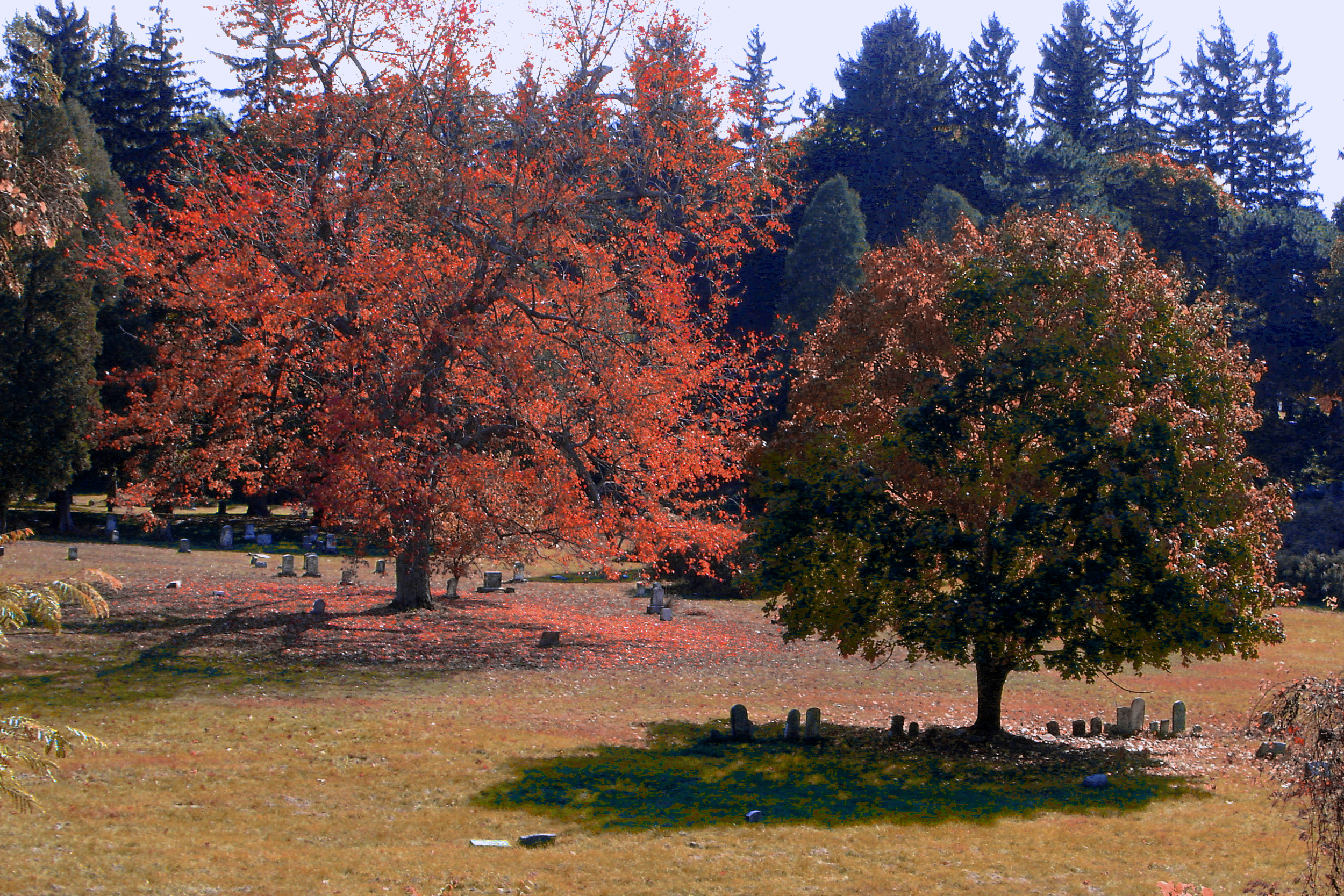 "The Cemetary XII" (2010). Medium: Digital Photography. Dimensions: Variable.