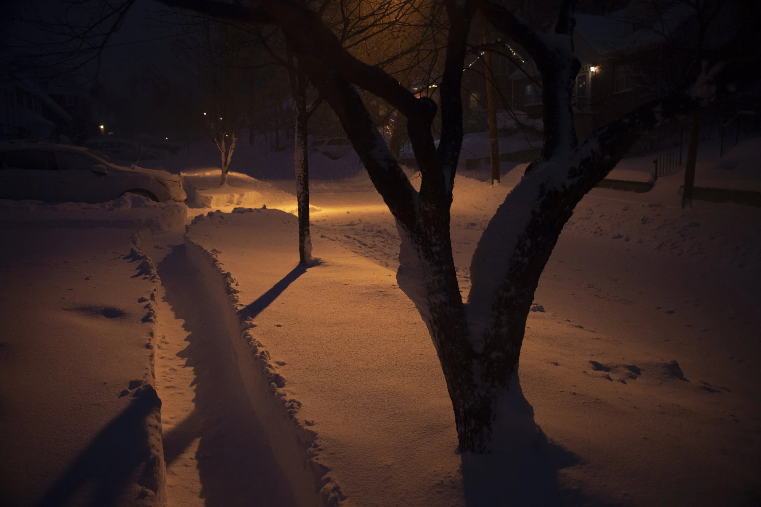 (Original title unknown) "The Path and the Field" (2021). Medium: Digital Photography. Dimensions: Variable.