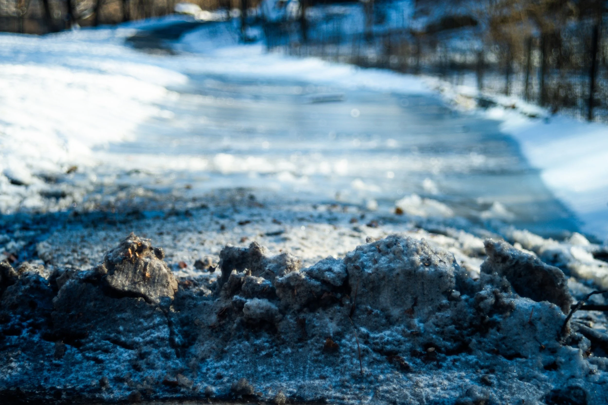 "Poetic Vision 01-62" (2024). Medium: Digital Photography. Dimensions: Variable.