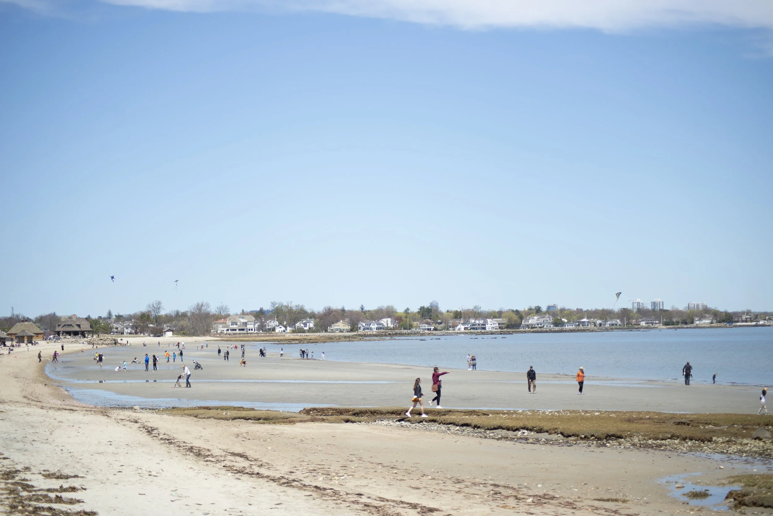 "Greenwich Point Park I" (2017). Medium: Digital Photography. Dimensions: Variable.