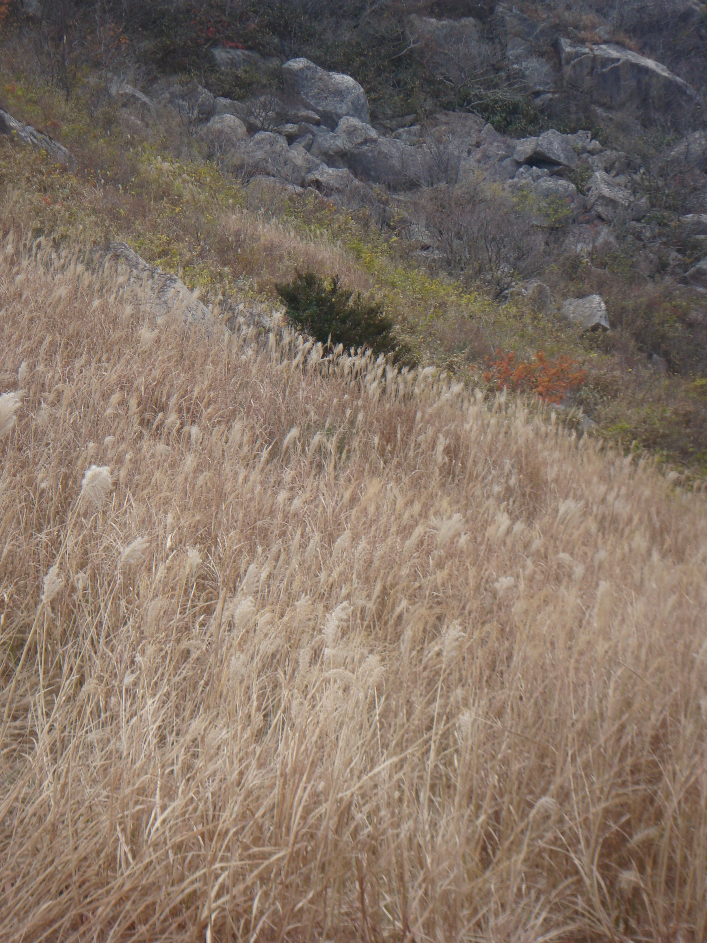 "Korea I" (2012). Medium: Digital Photography. Dimensions: Variable.
