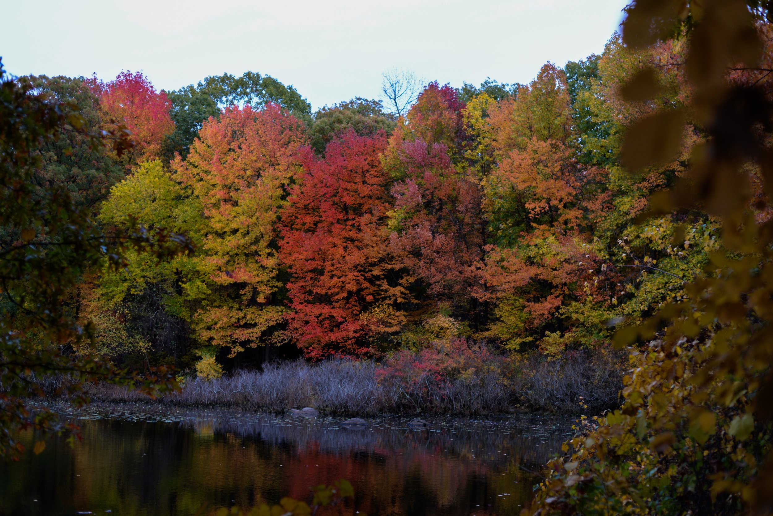 "Englewood and Tenafly XXXV" (2015). Medium: Digital Photography. Dimensions: Variable.