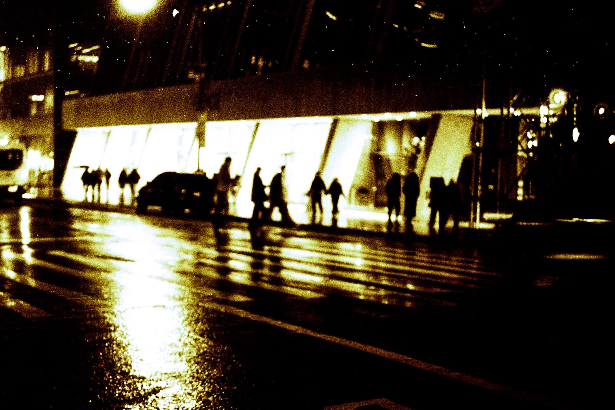 image_batch_13_0063 edited - small.jpg