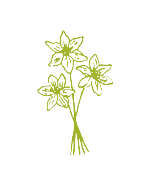 Line drawing of a cluster of three lilies with long stems, rendered in green on a black background.
