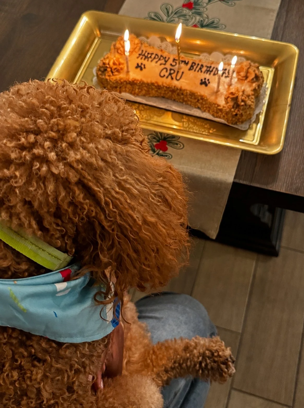 A curly-haired dog wearing a blue bandana is looking at a birthday cake with four lit candles, on a golden tray. The cake has a message that reads 'HAPPY 5TH BIRTHDAY COCO CUDA'.