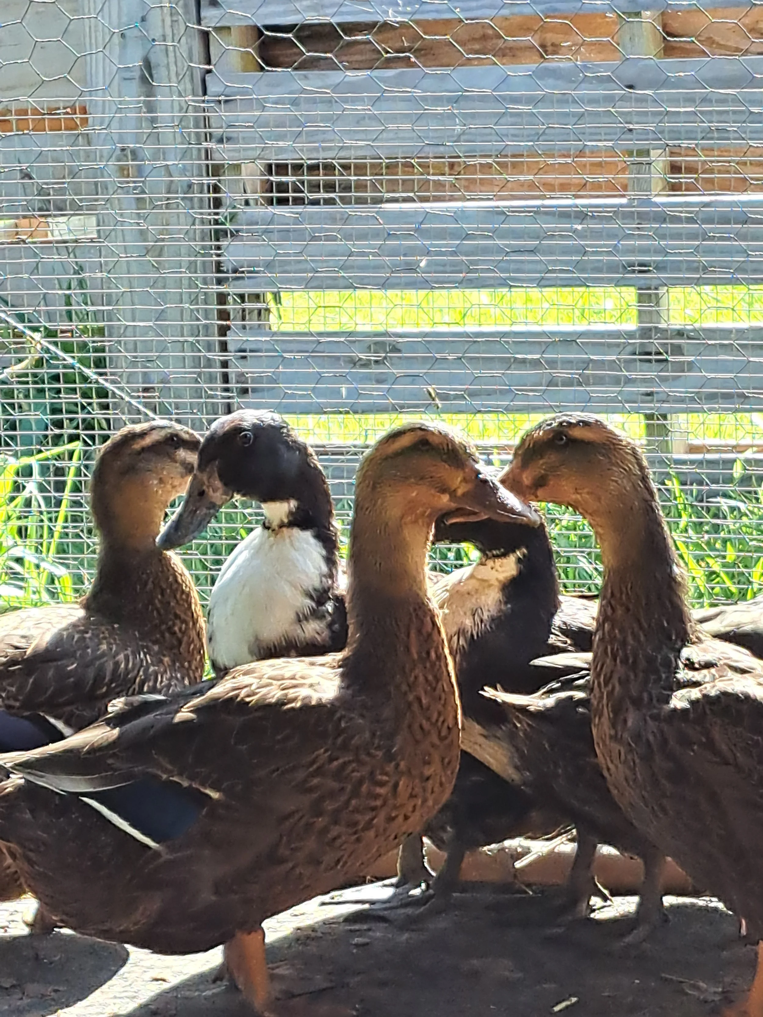 20260722_101704.jpg