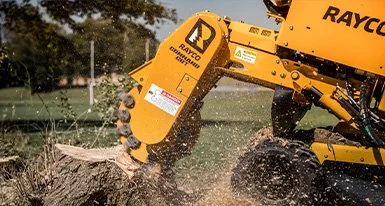 A yellow Rayco stump grinder in operation on a tree stump, with wood debris and dust flying.