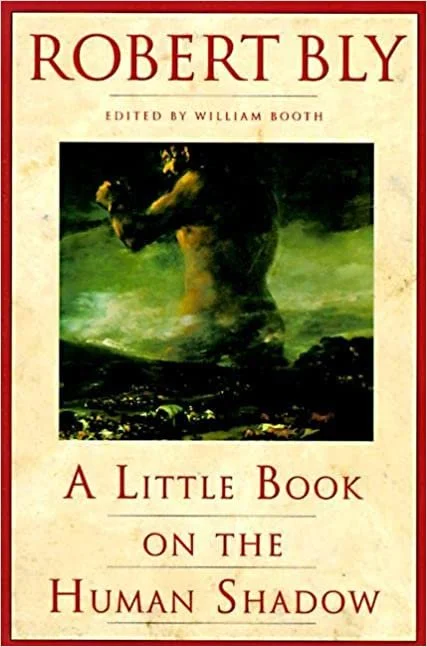 "A Little Book on the Human Shadow" by Robert Bly