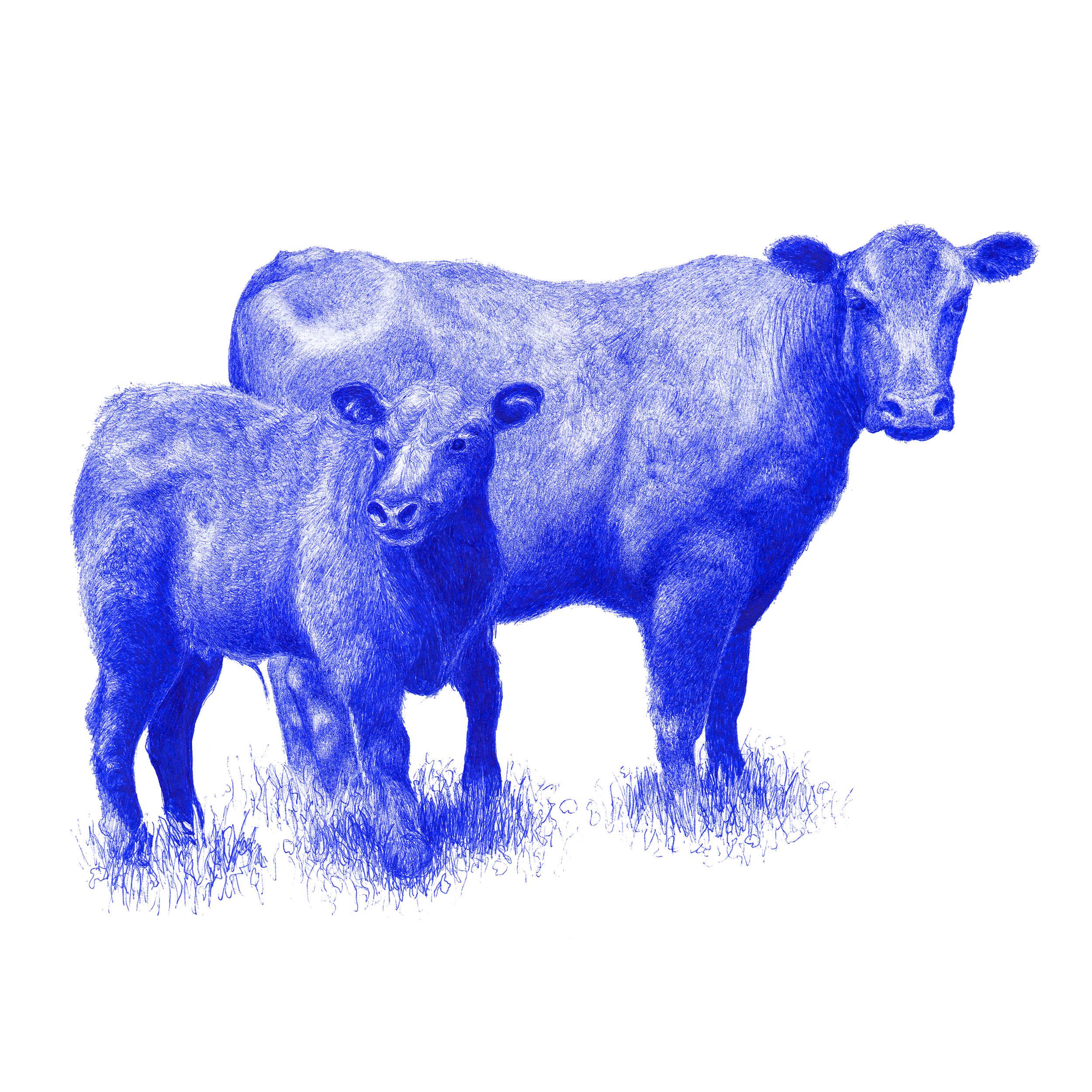 Ballpoint Pen