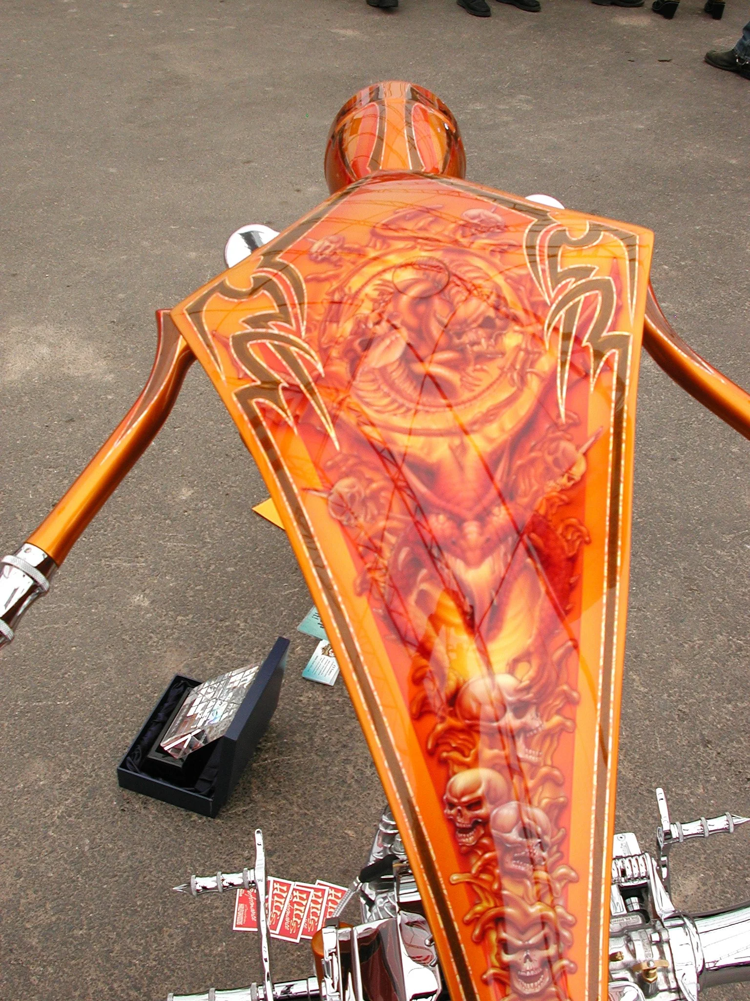 B.s.art0036.JPG
