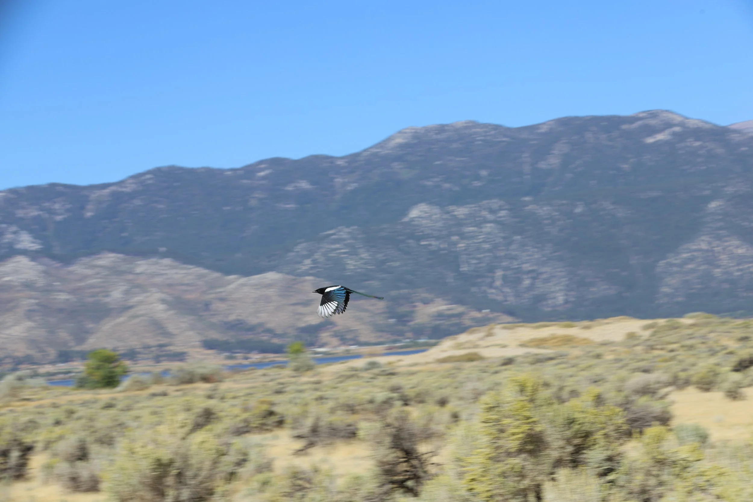 IMG_8983.JPG