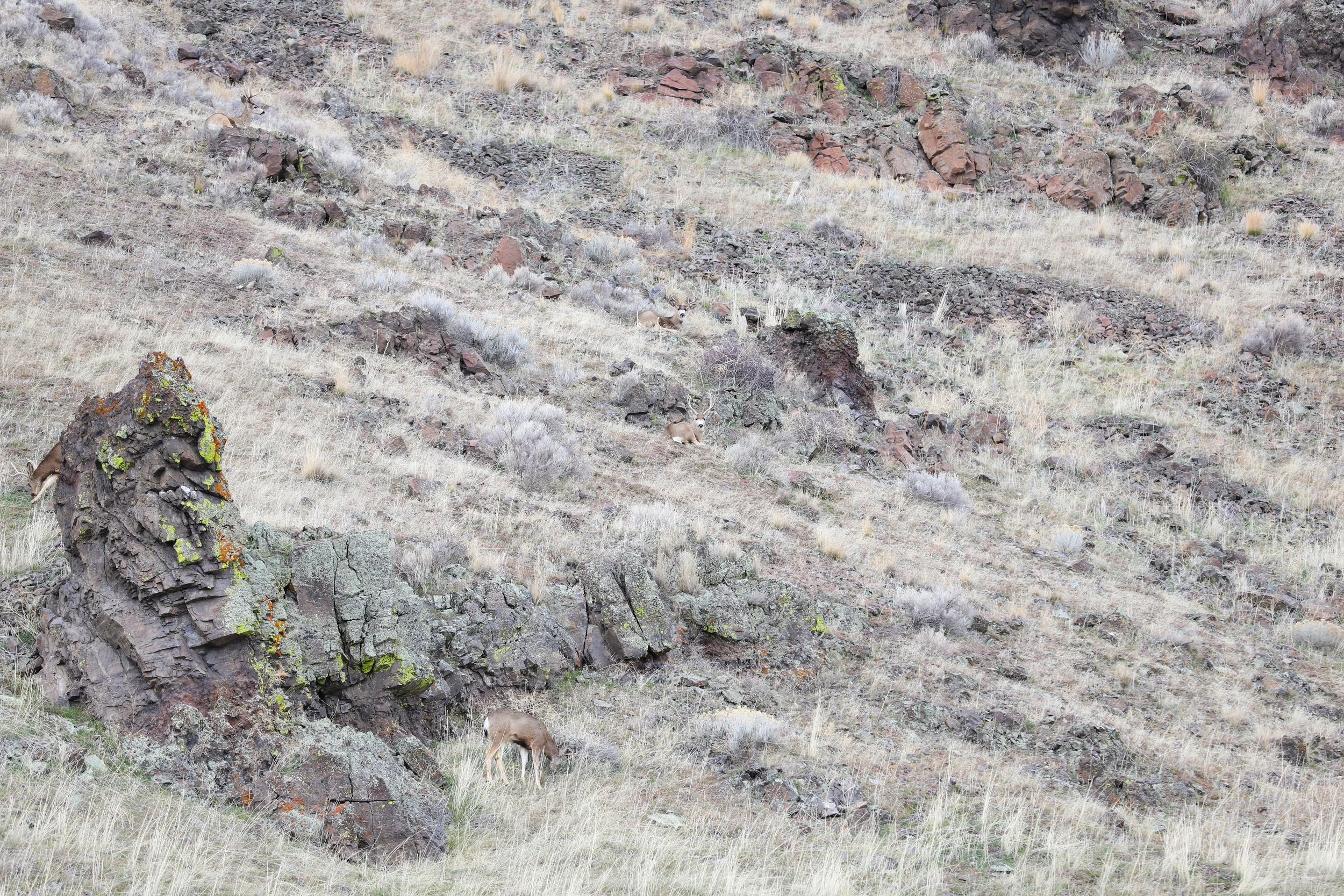 IMG_9625.JPG