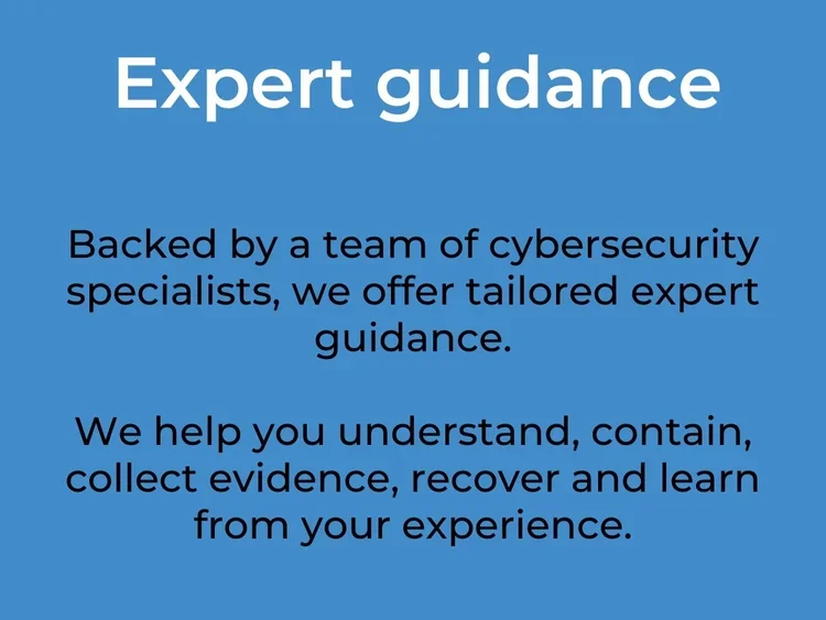 Expert guidance