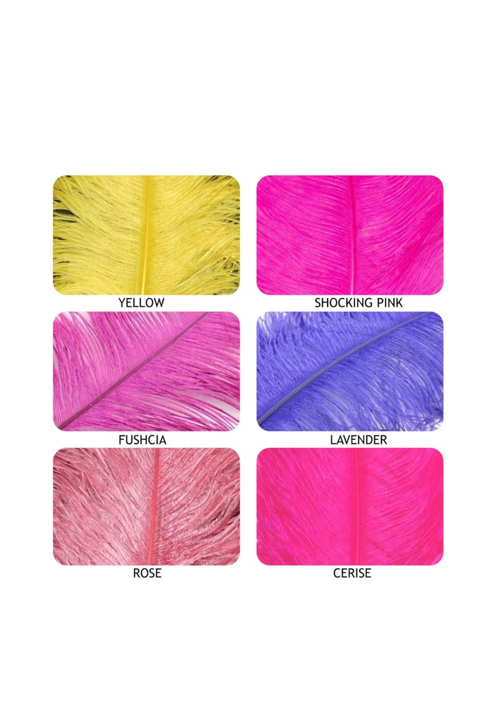 Feather Colors 3 website.jpg