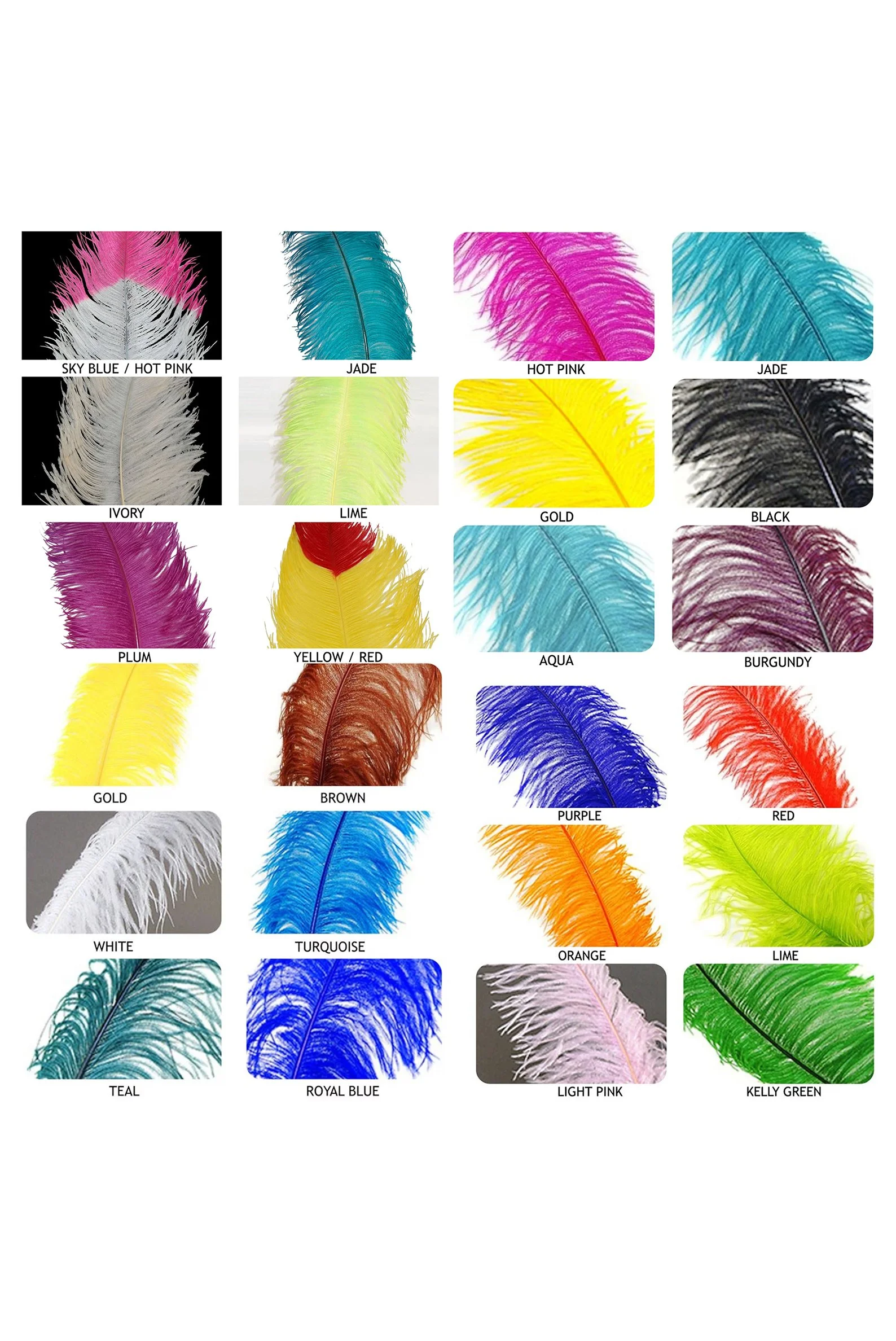 Feather Colors 2 website.jpg