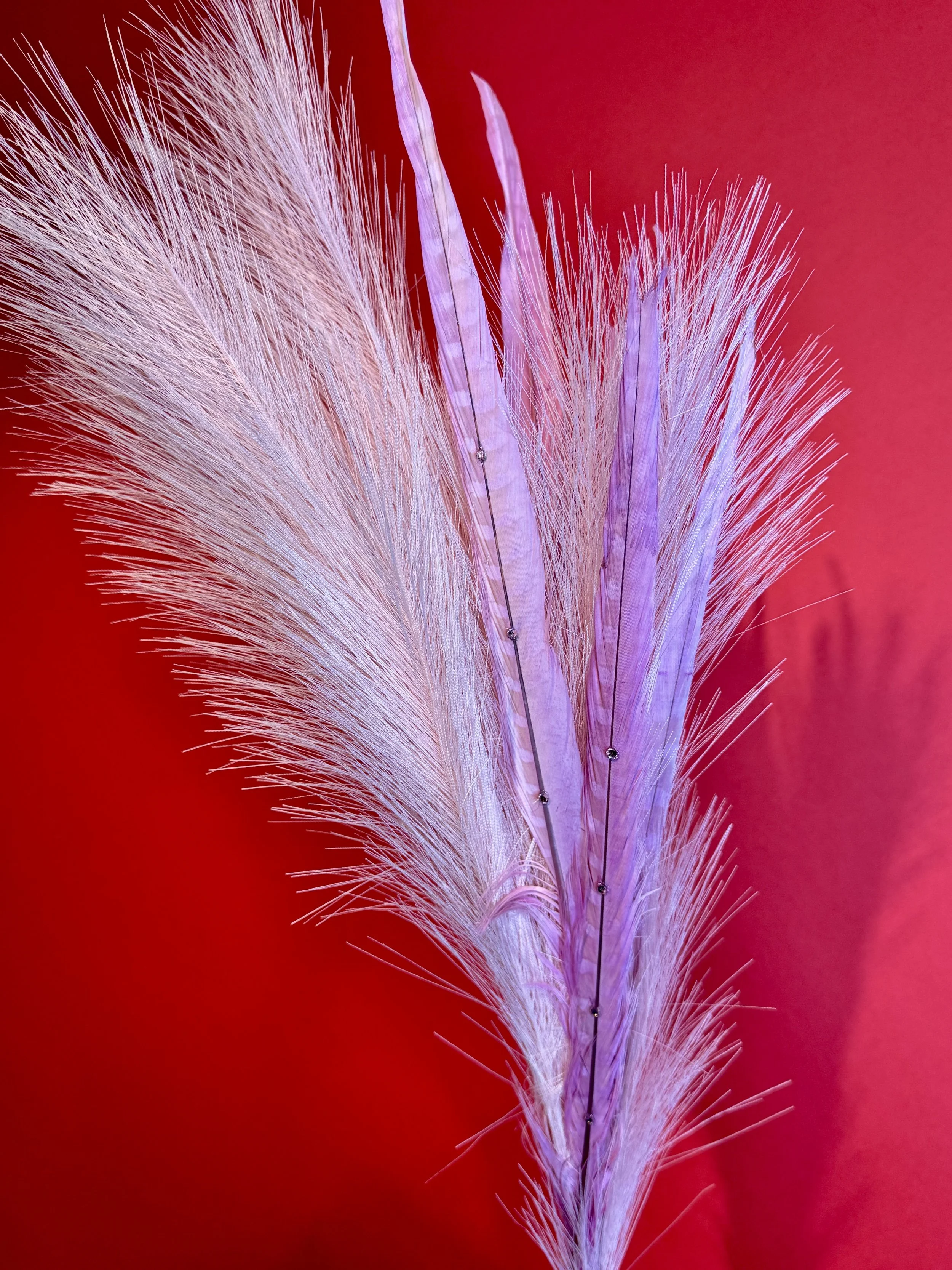 showpony custom feathers.jpeg