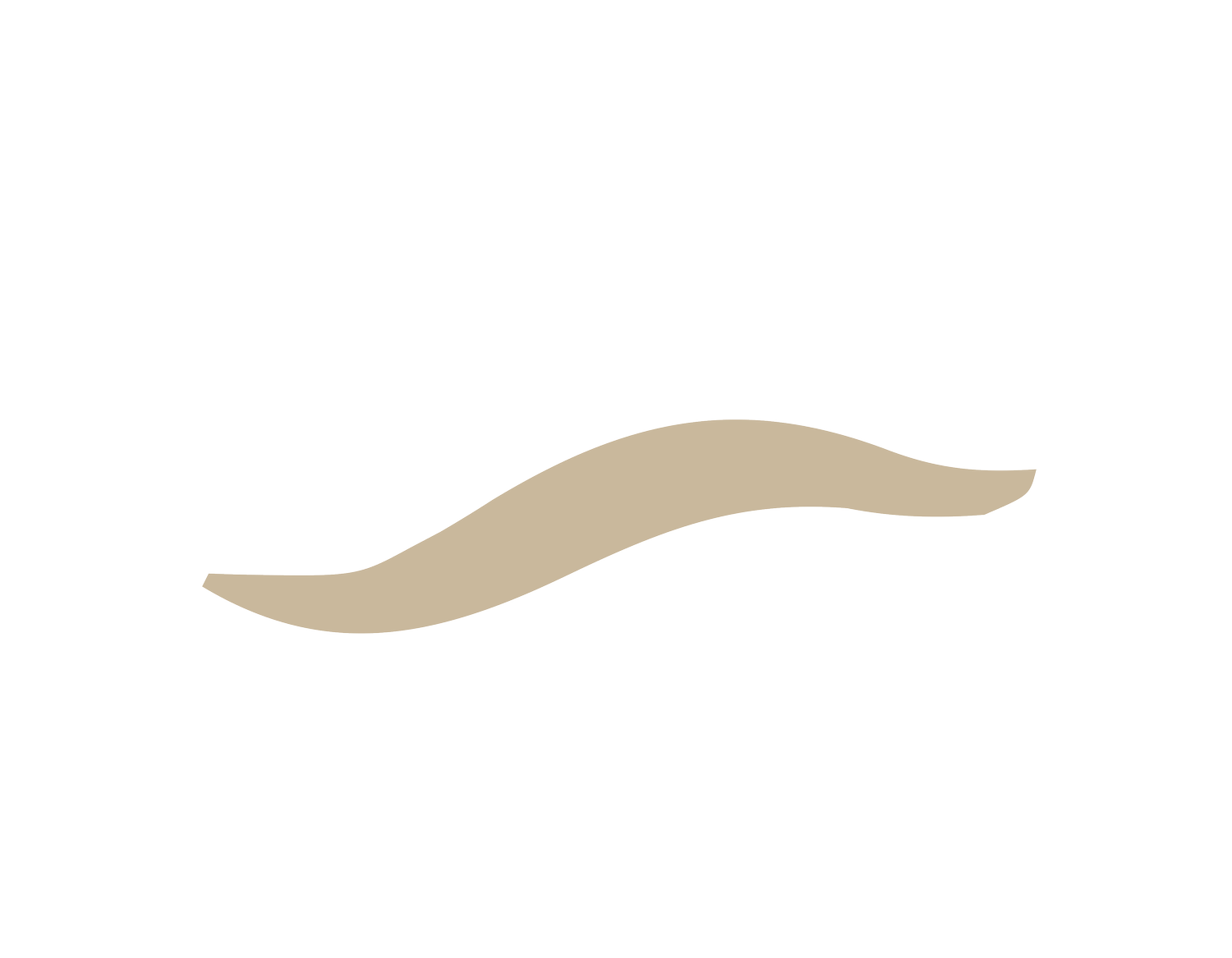 Slackcountr