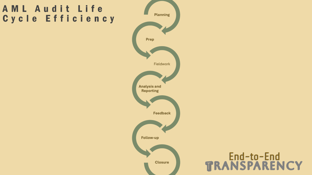 Flowchart illustrating the AML Audit Life Cycle Efficiency with steps: Planning, Prep, Fieldwork, Analysis and Reporting, Feedback, Follow-up, Closure, emphasizing end-to-end transparency.