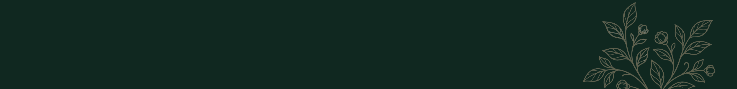 Decorative dark green banner with a subtle floral illustration.