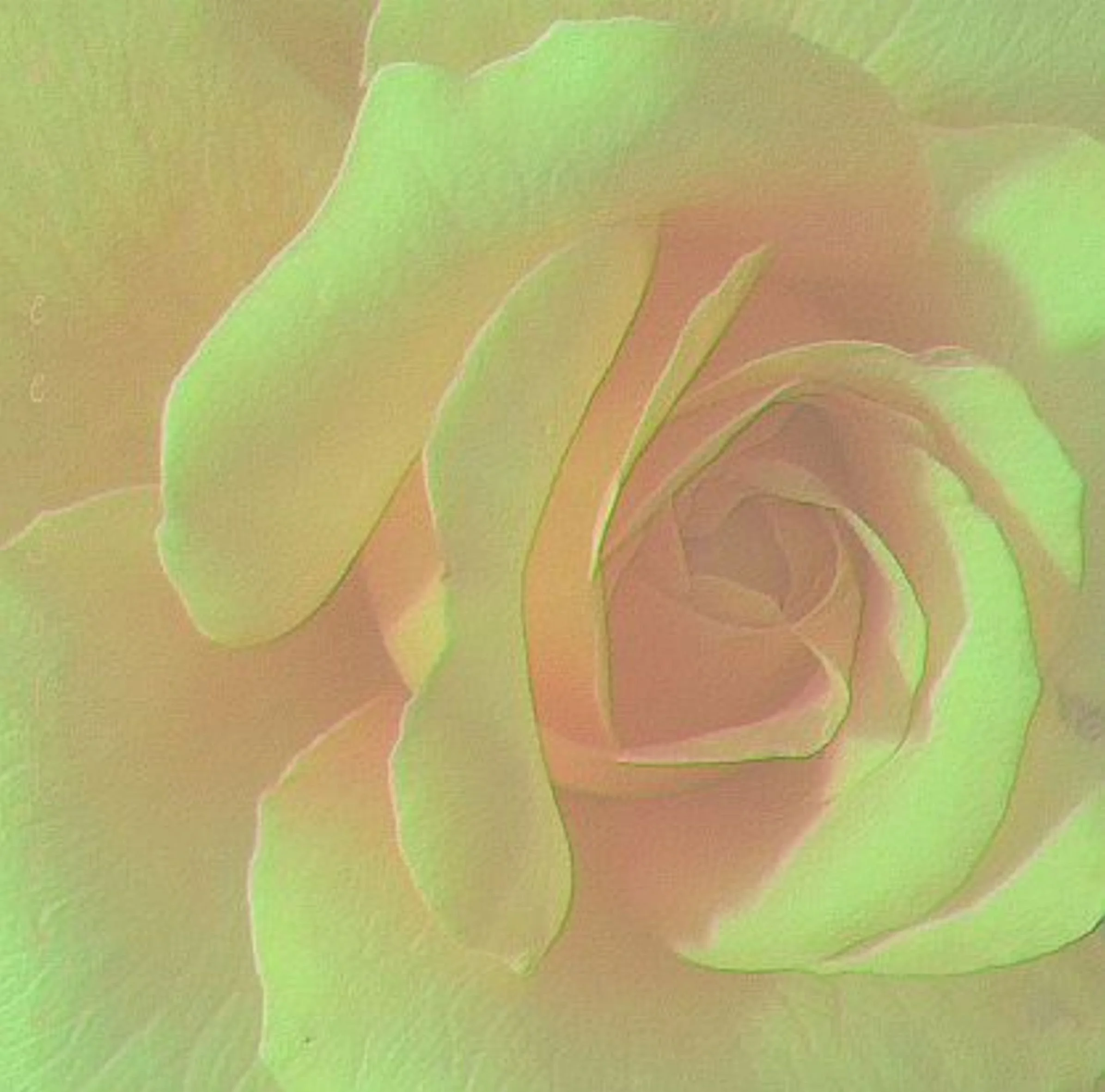 Rose Centre Neon Glow colour swap yellow.jpg