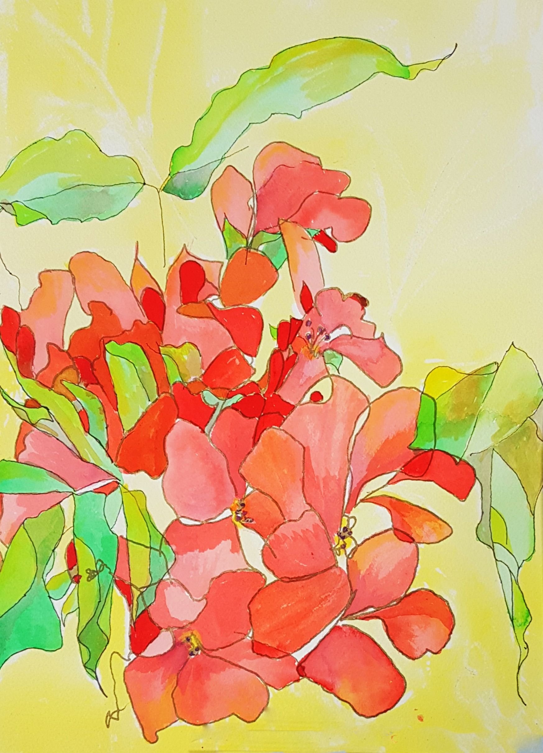 Flowers in Contour