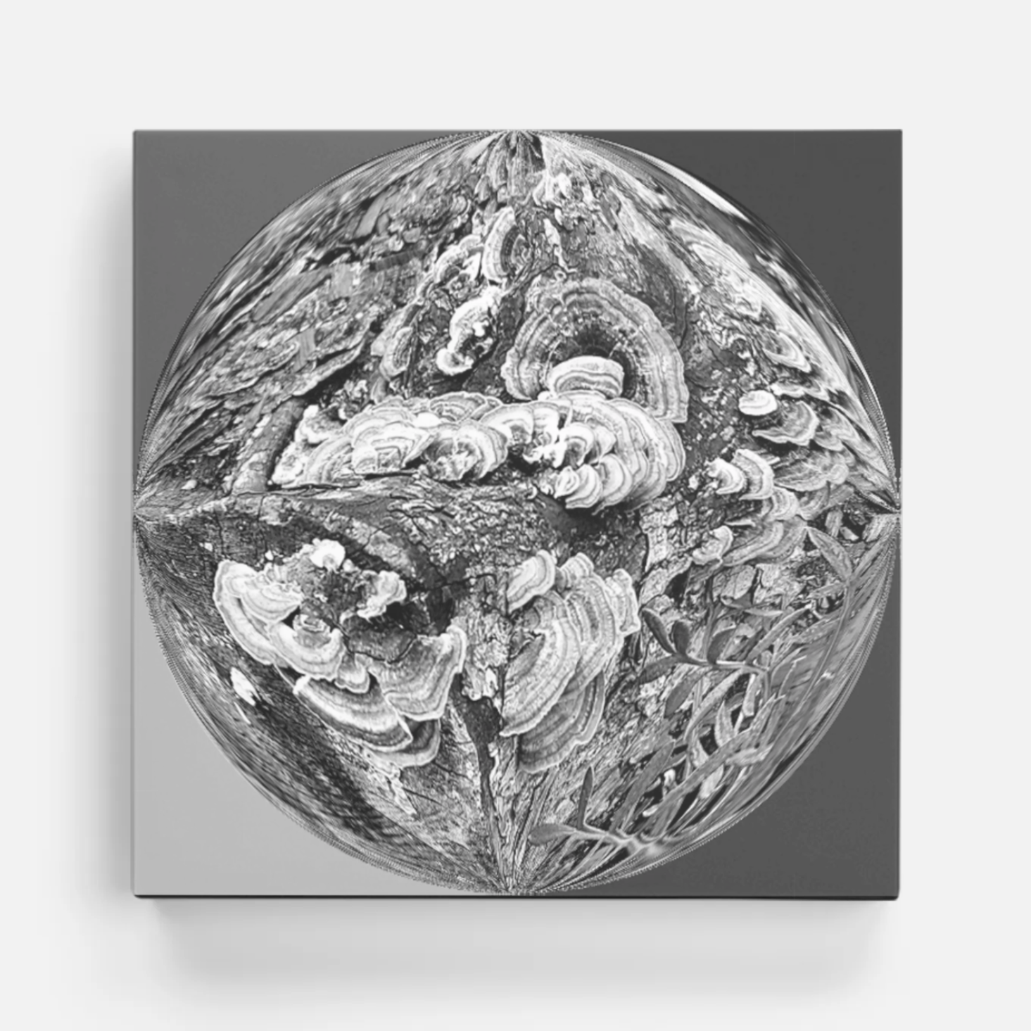 Fungi in the Crystal canvas 60 x 60 cm.png