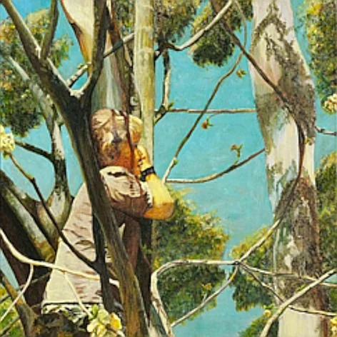 Looking beyond gallery.jpg