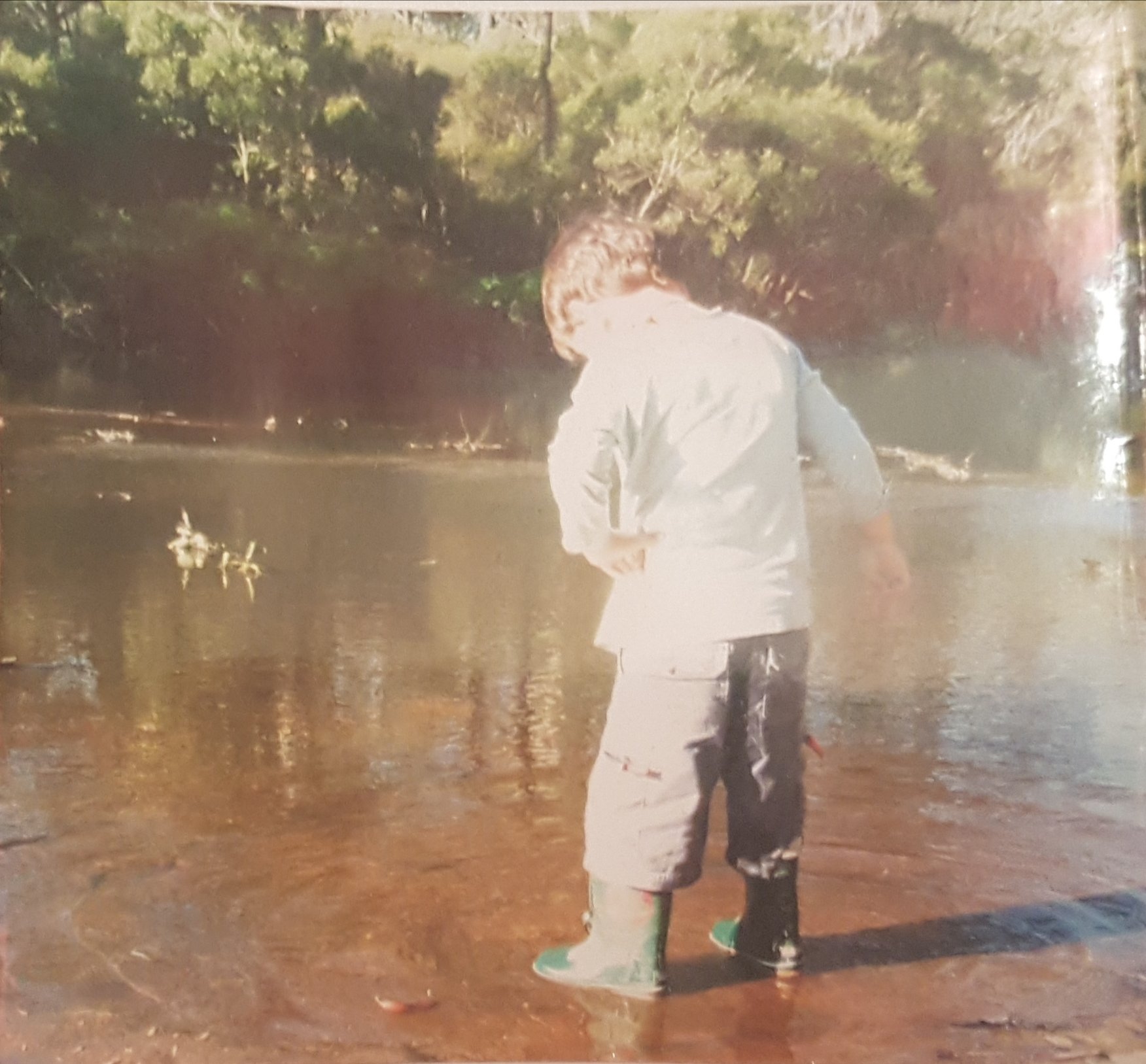Original photo for Sweet David copy.jpg