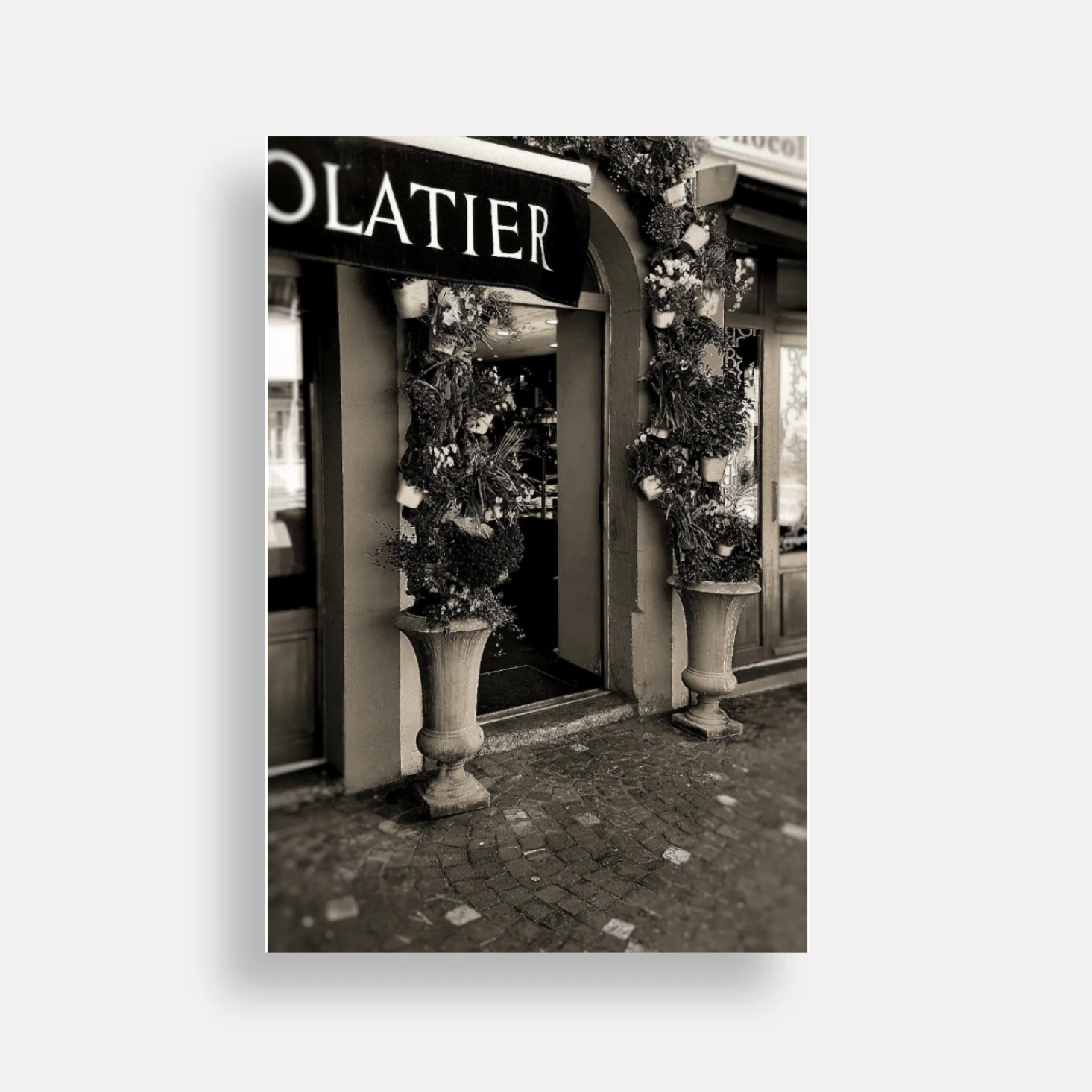 The Chocolatier